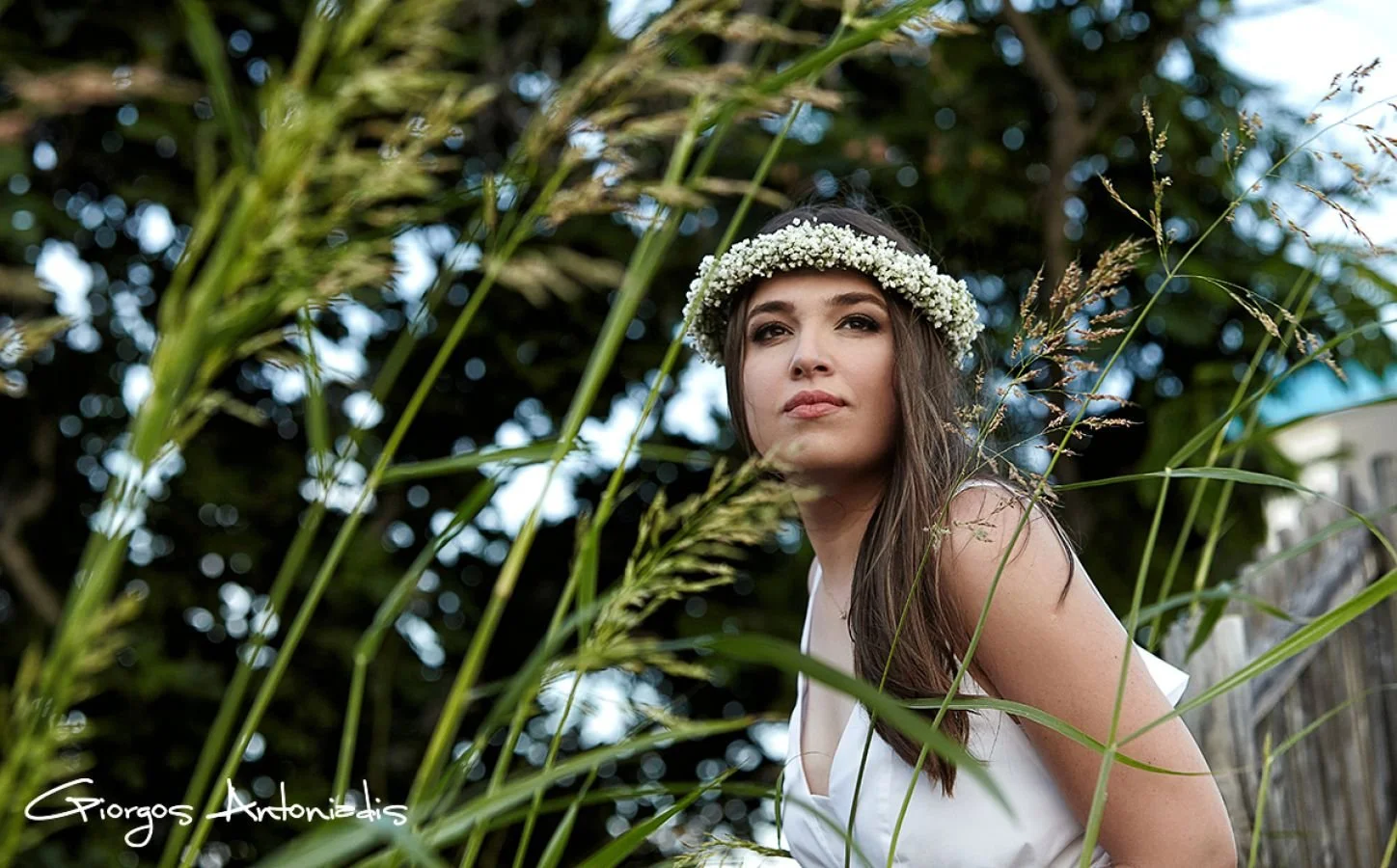 A woman with long brown hair wearing a white dress and a floral crown made of small white flowers, sitting outdoors amidst tall green grass, with a blurred background of trees and sky.