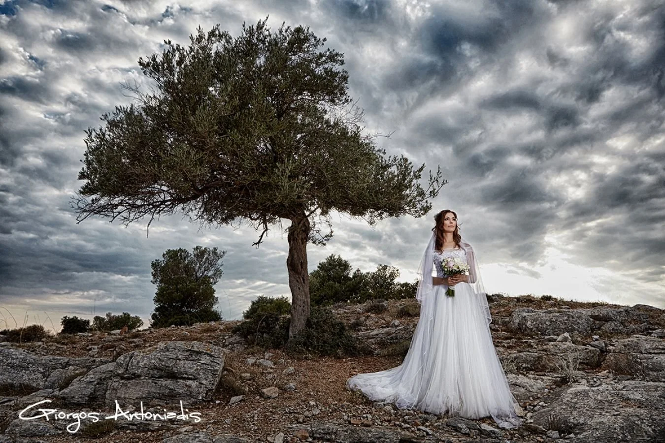 A bride in a white wedding dress and veil, holding a bouquet, standing on rocky terrain under a dark, cloudy sky with a large tree nearby.