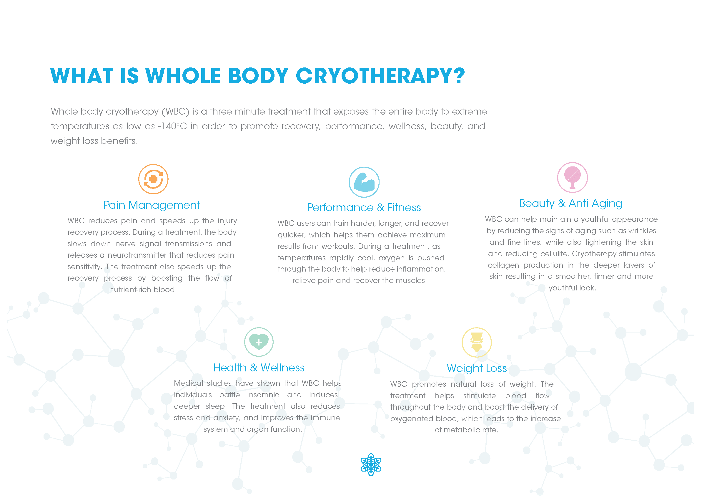 CRYO e-Arctic™️ Brochure new_Page_04.png