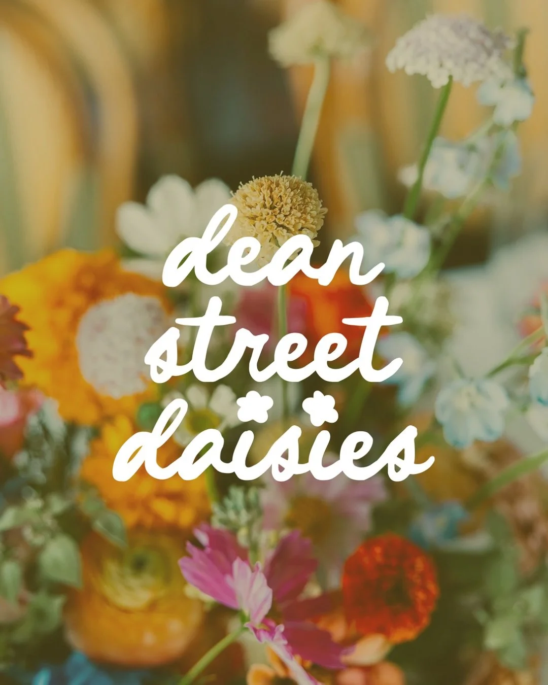 ✨NEW Daisies website loading &hellip;✨

_____

WOW. What can I say?! Just &hellip; YAY!
Dean Street Daisies finally has a new website (literally hot off the press) that totally captures the Daisies brand and vibes!

We&rsquo;re excited for your inqui