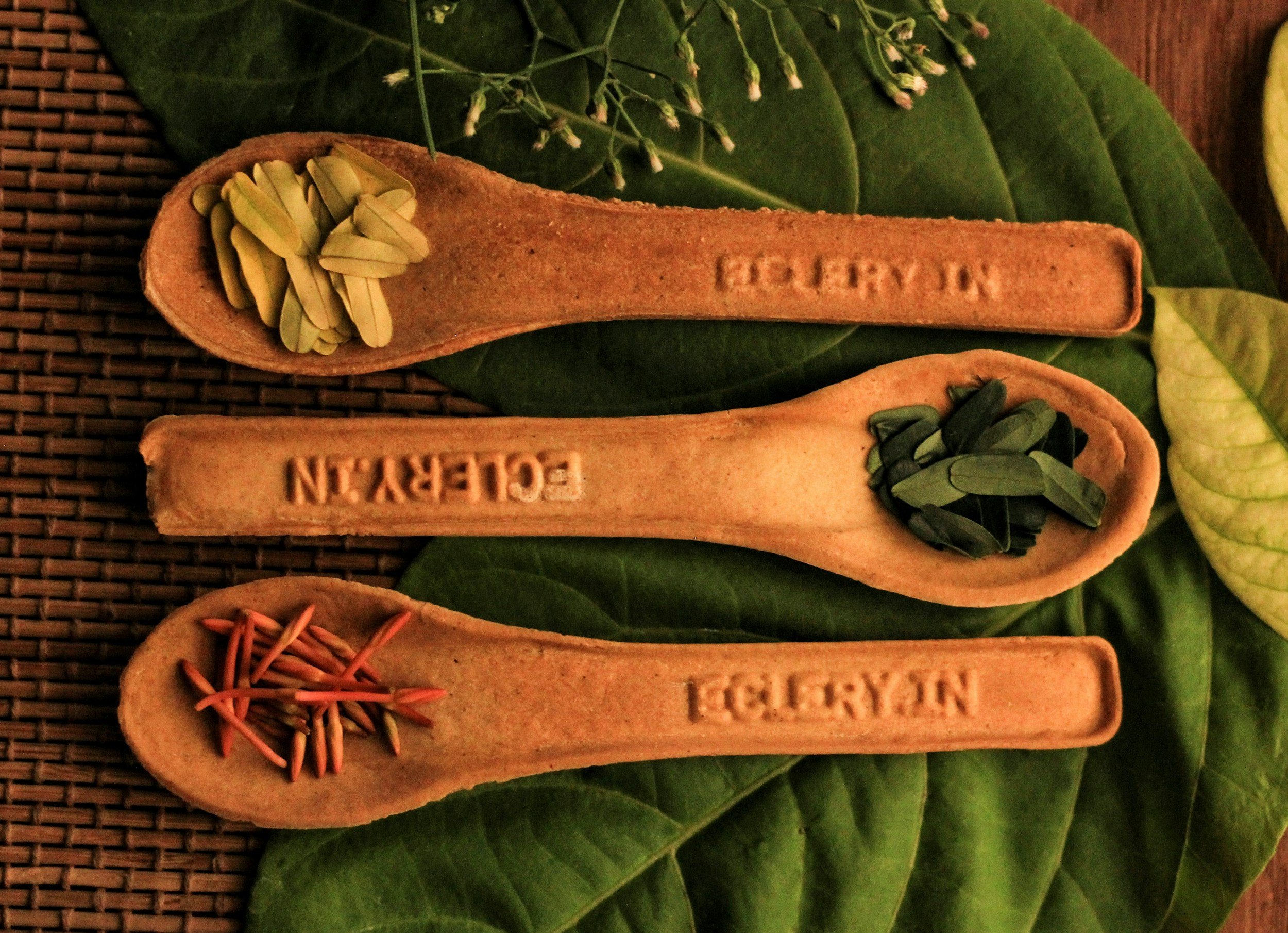 What detox-supporting habits helped me?