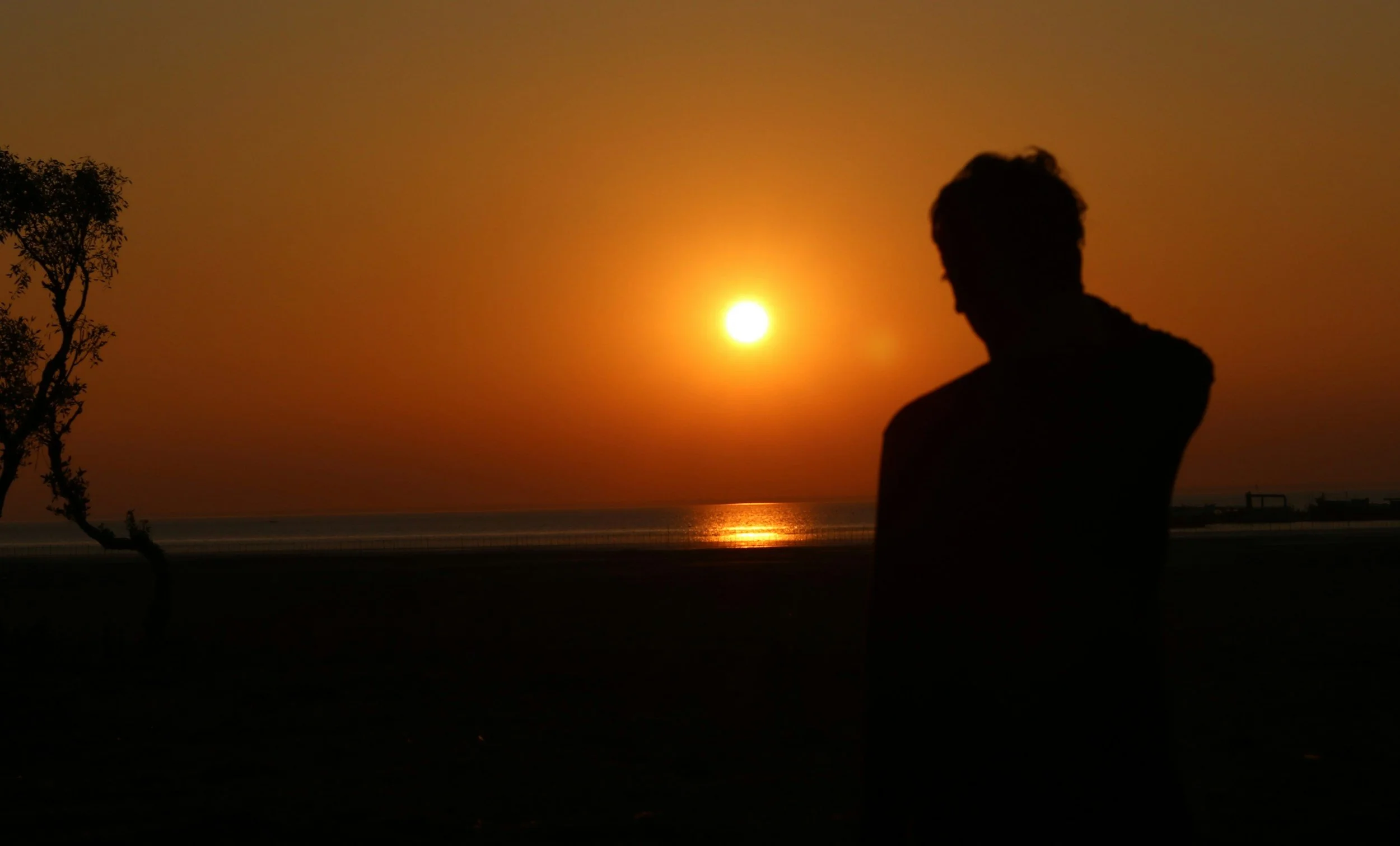 The Gut–Brain Connection Explained Simply