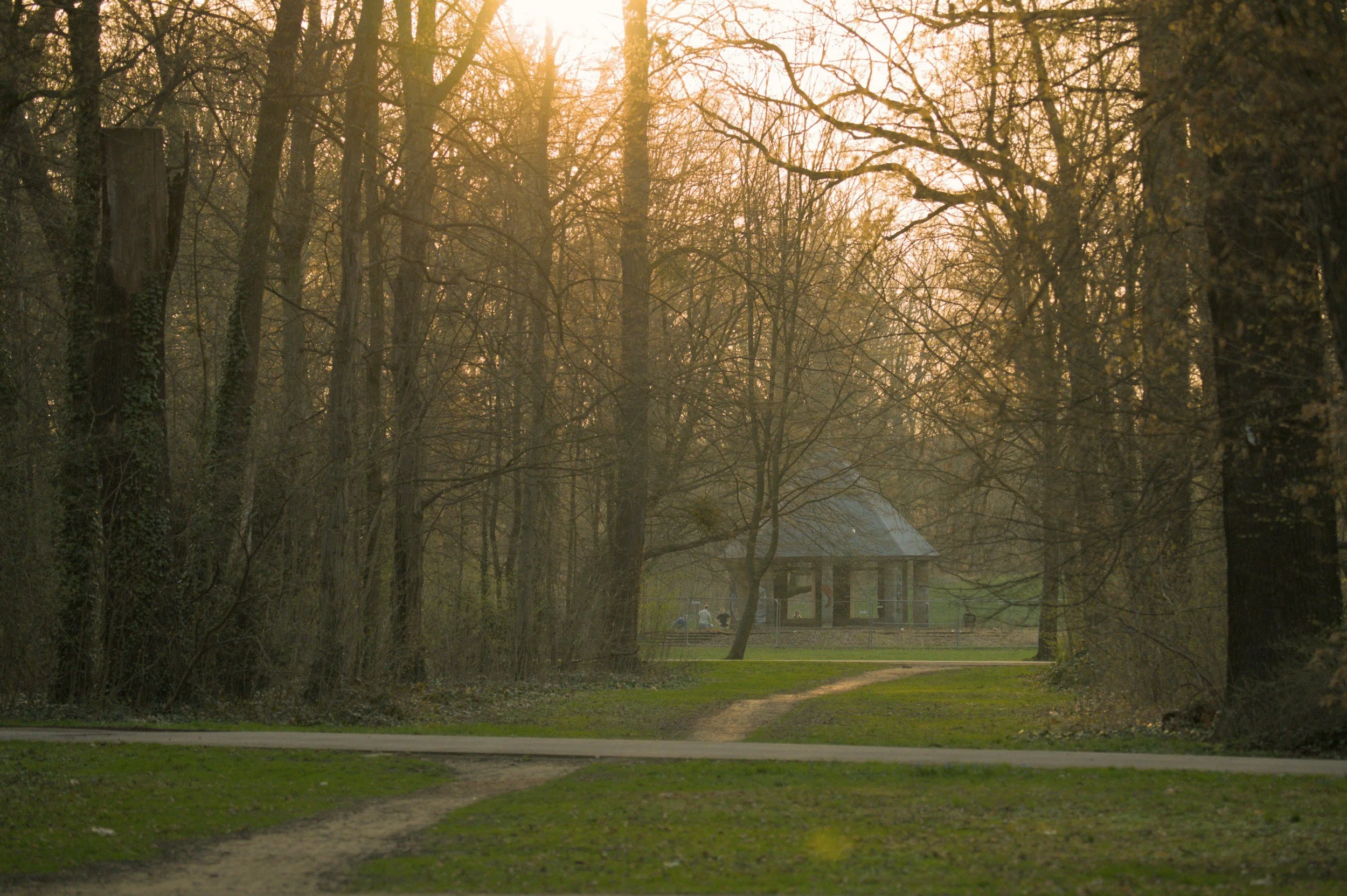 Why ADHD Brains Are More Sensitive to Inflammation