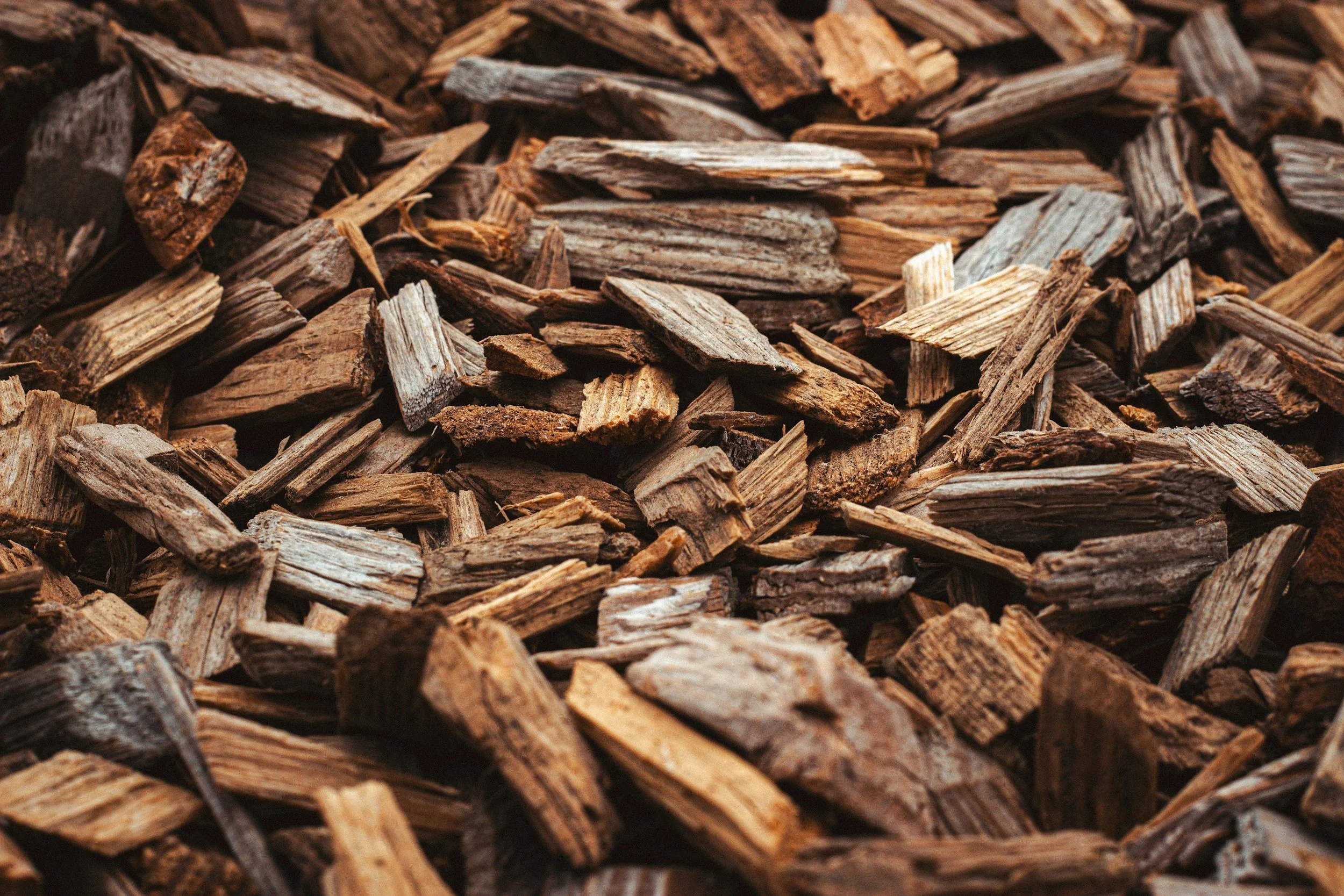 When Caffeine Hurts Focus