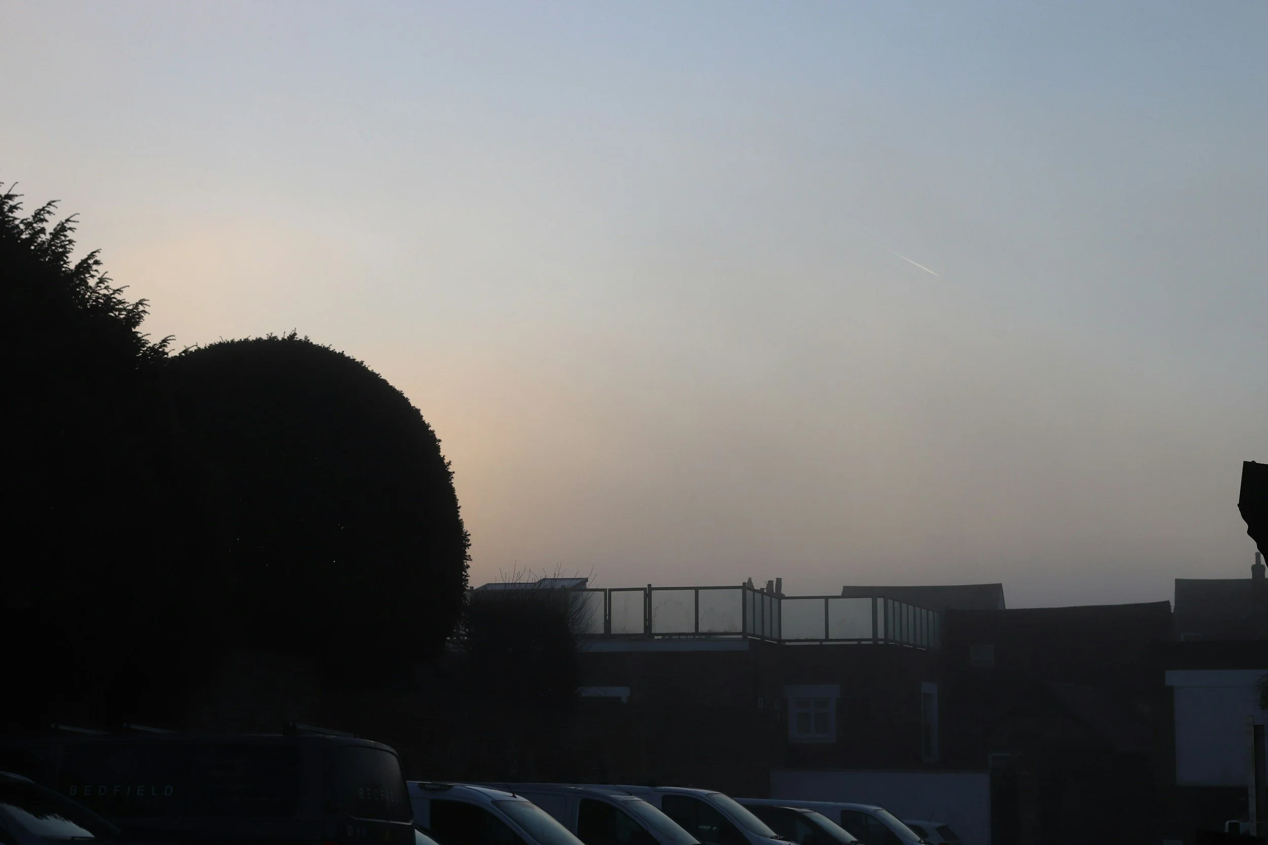 Environmental Toxins and Focus