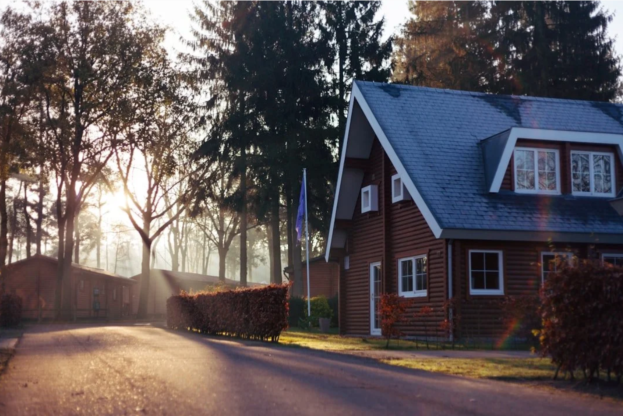 WHOLE HOME DESIGN