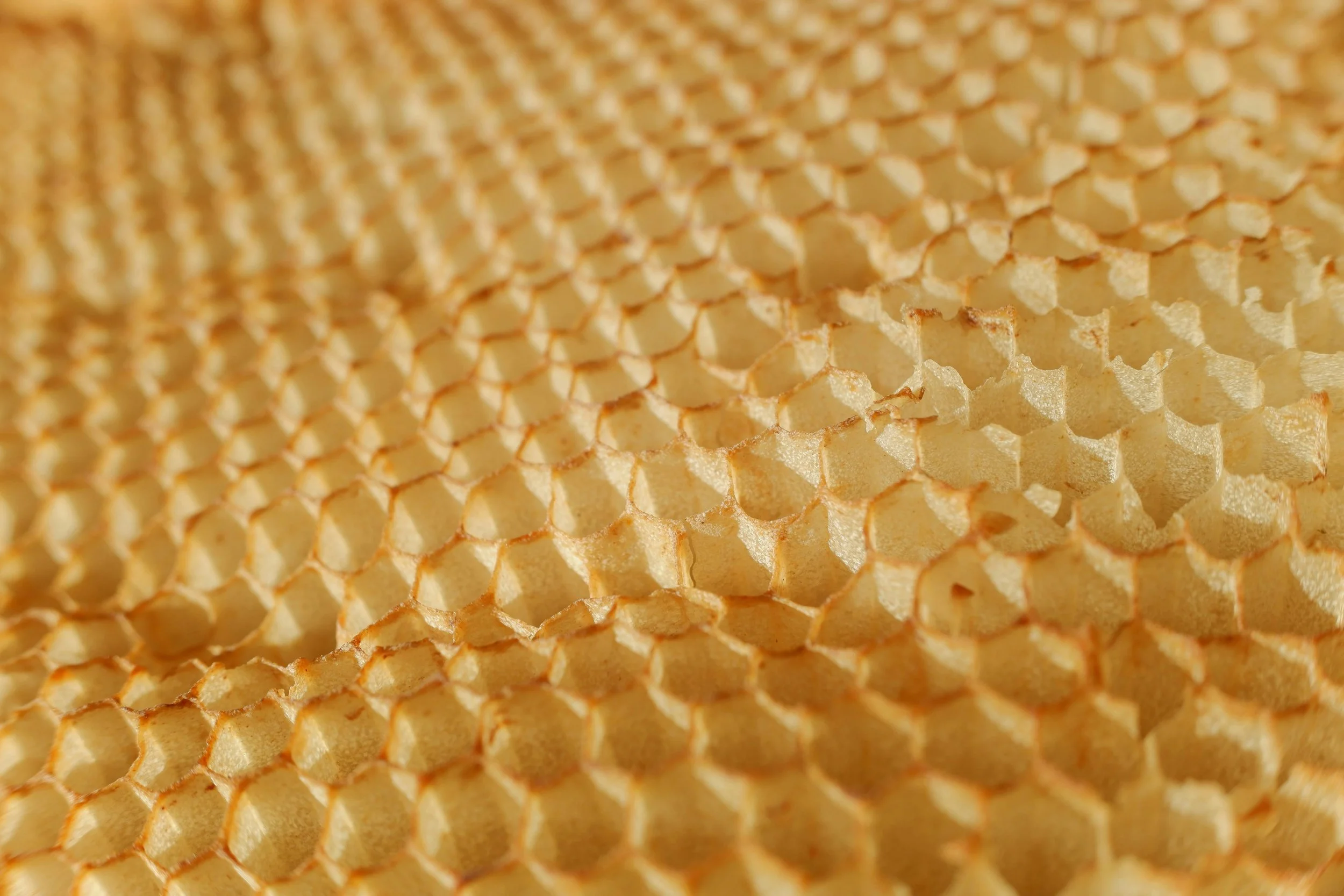 Beeswax