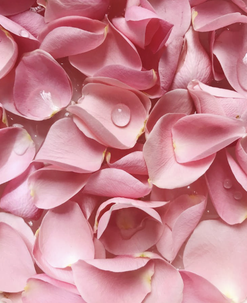 rosewater
