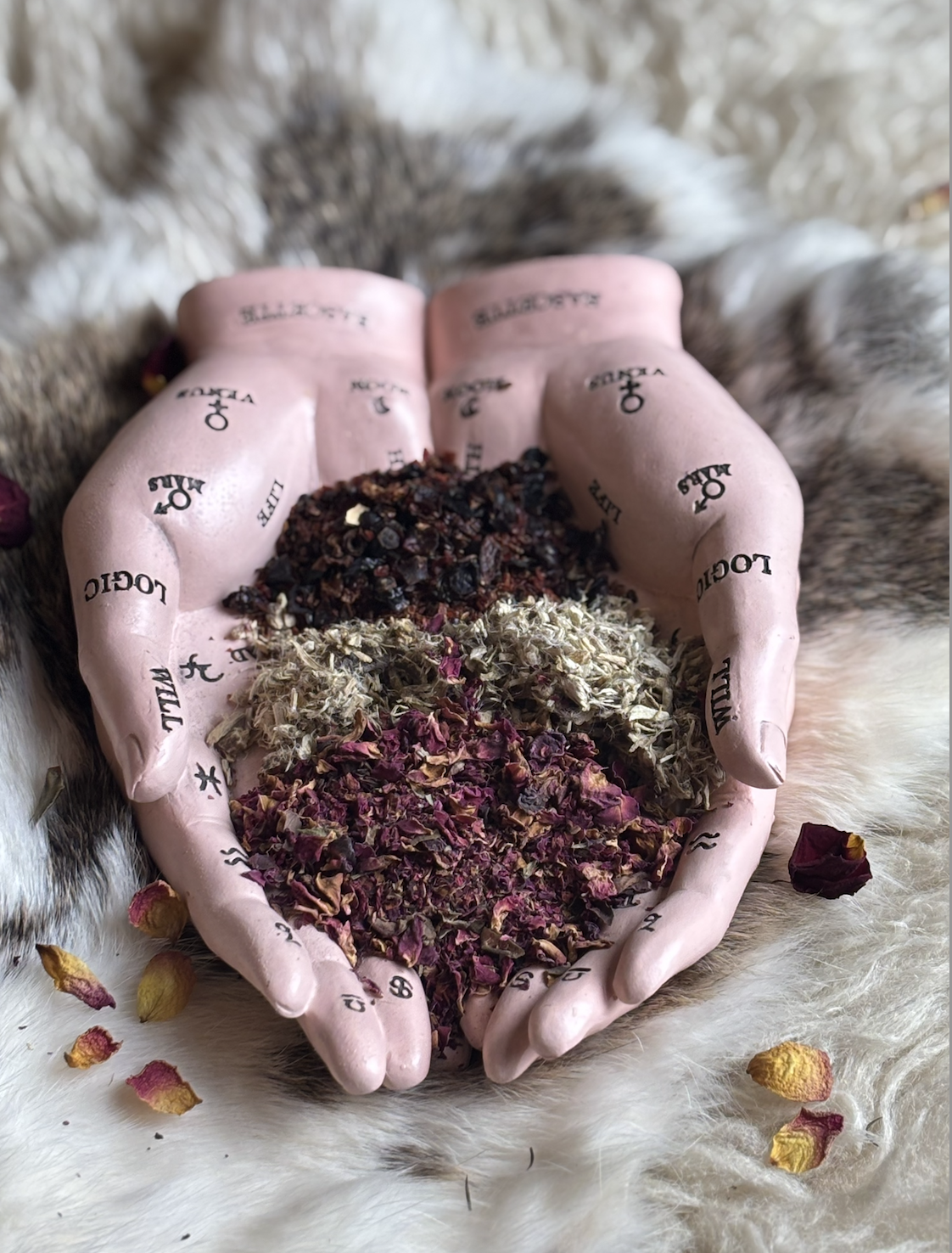 Screenshot 2025-10-26 at 5.59.54 PM.png