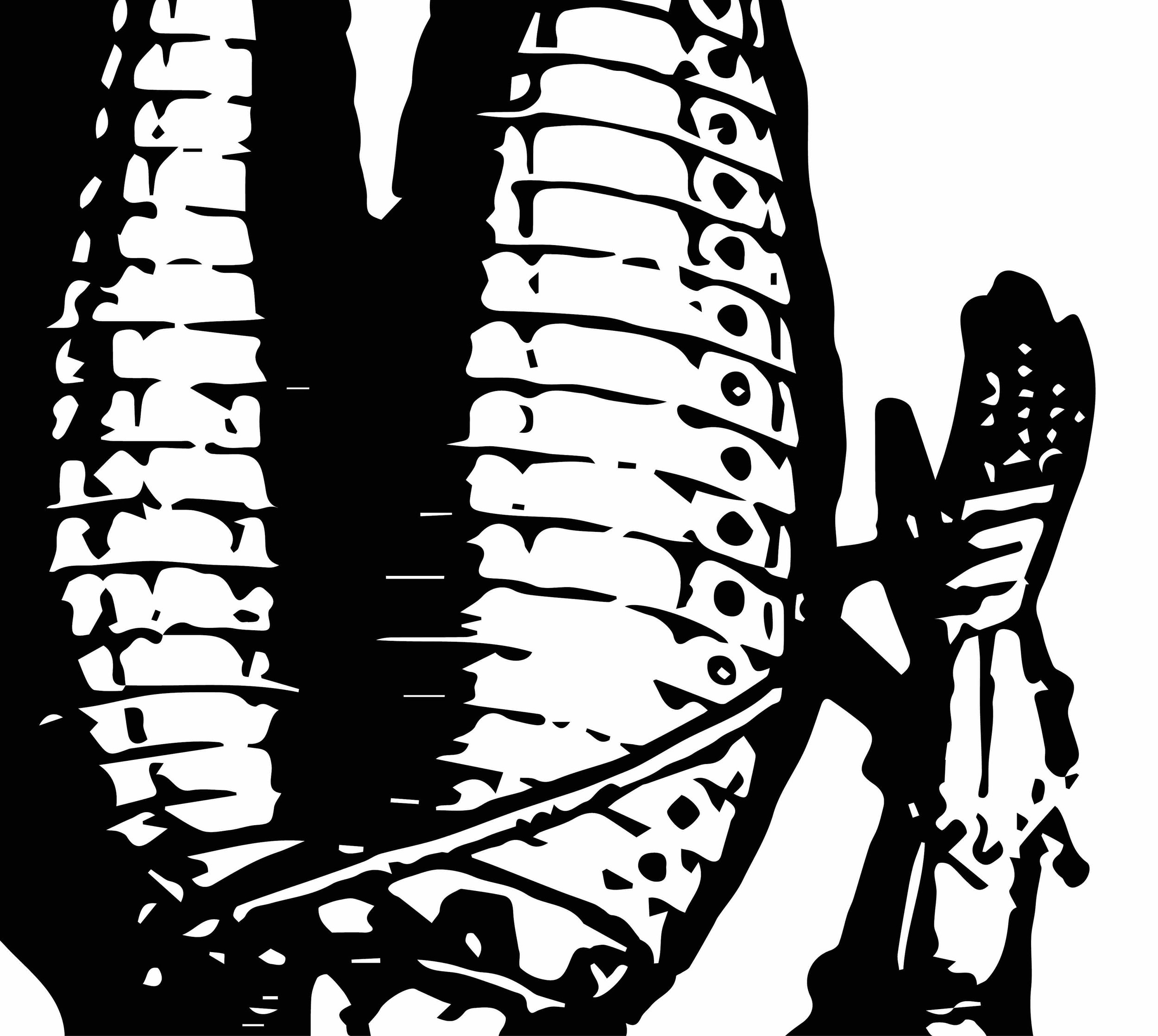 The Dissolute Society Comprised of All Sorts (CD)