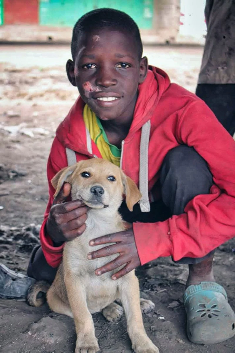 Ein kleiner afrikanischer Junge mit einem Strassenhund in Nairobi wartet auf sein Essen welches ihm von der Hilfsorganisation Nafrika ermöglicht wurde