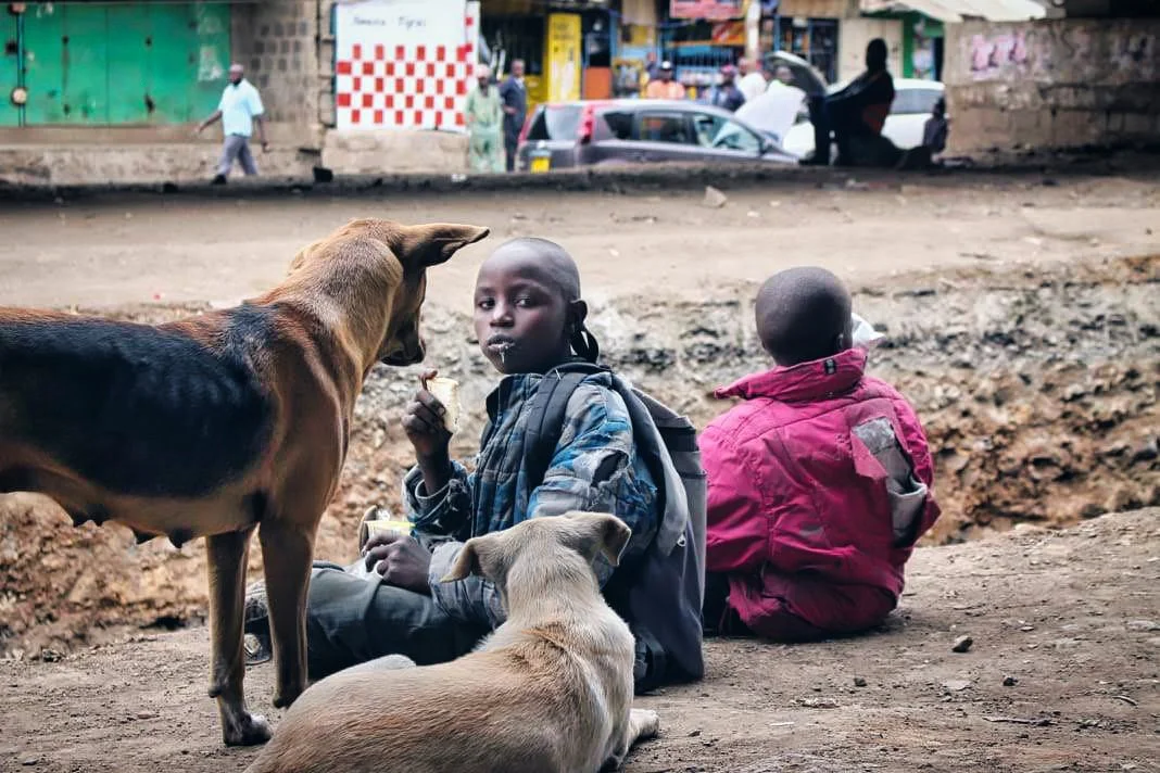 Zwei kleine obdachlose Jungen sitzen zusammen mit zwei Strassenhunden am Boden, unter einer Brücke in Nairobi-Afrika und essen altes Brot welches sie gefunden haben. Nafrika und Nathalie Narbel versucht diese Kinder vor Gewallt, Drogen und Organhande