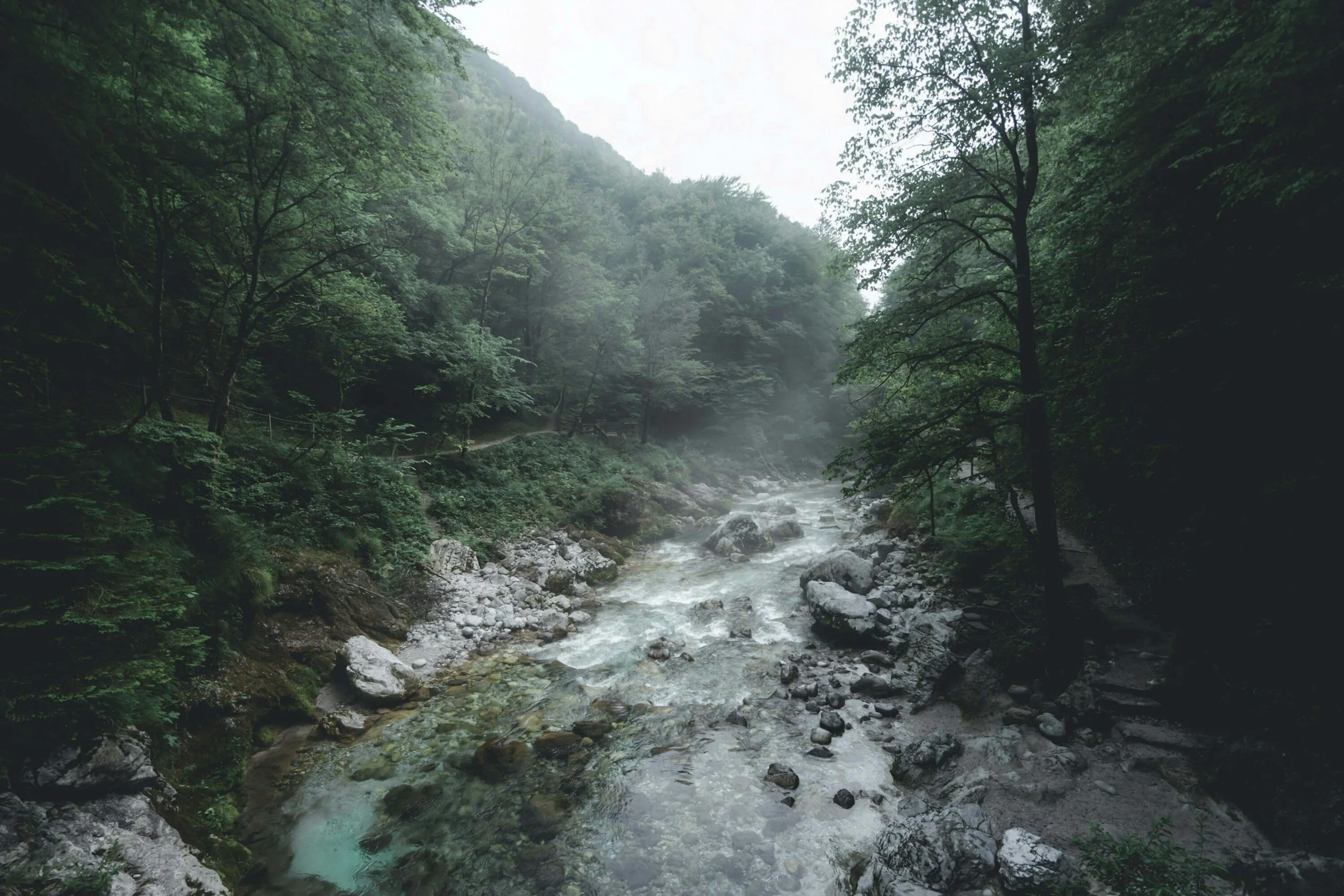 unsplash-image-11hVwciZbUk.jpg