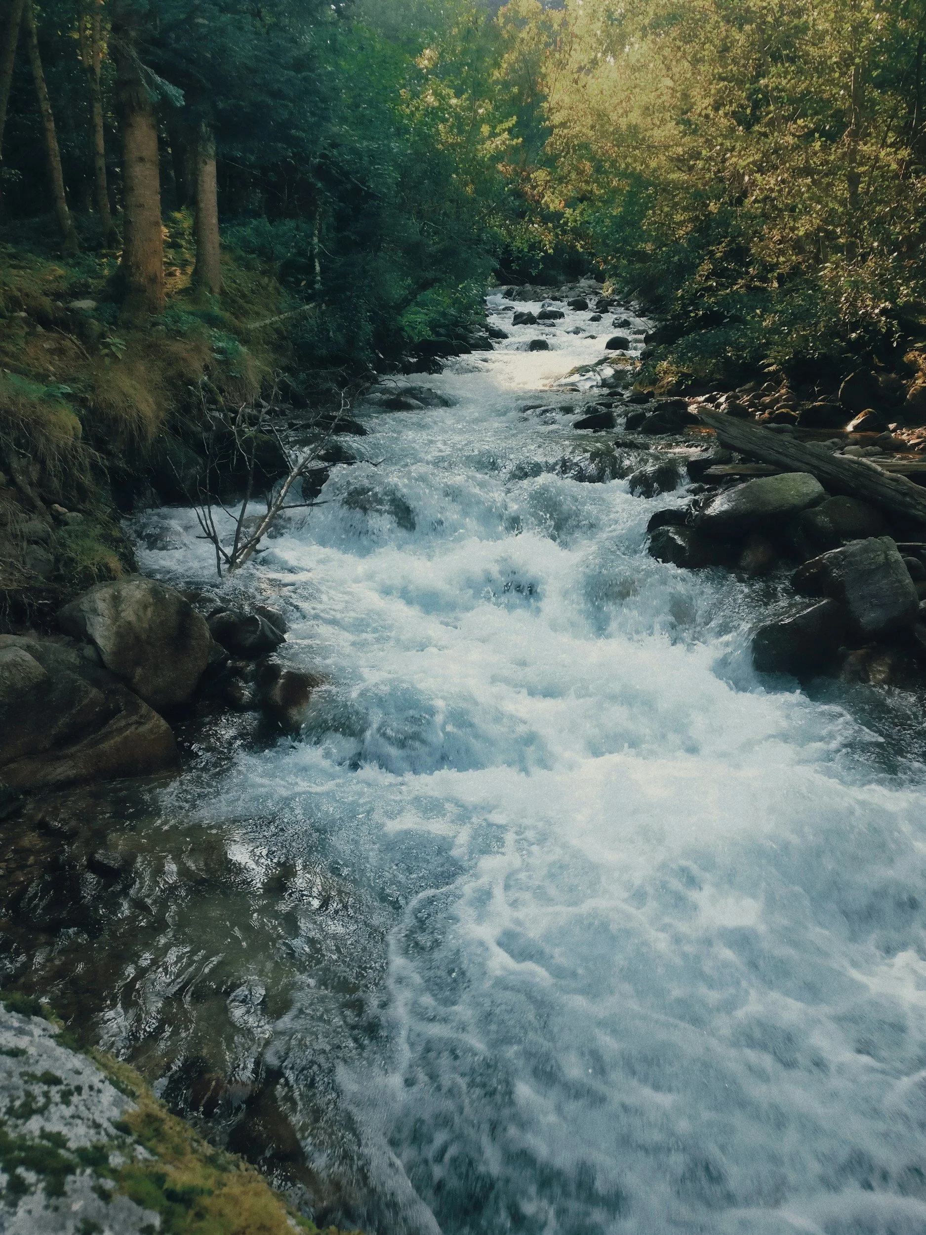 unsplash-image-WU9btSAIksc.jpg