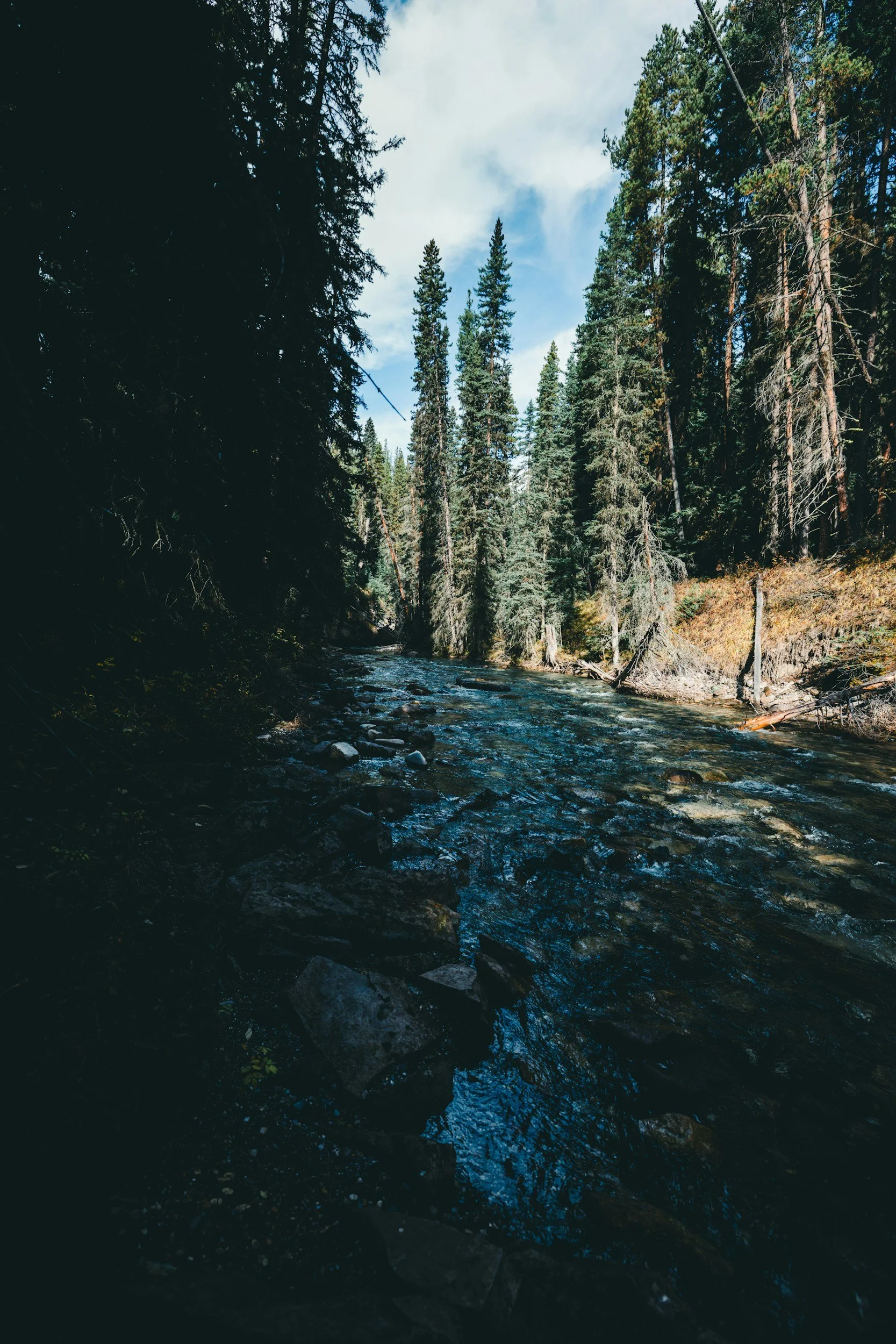 unsplash-image-tzk2bf0co2c.jpg