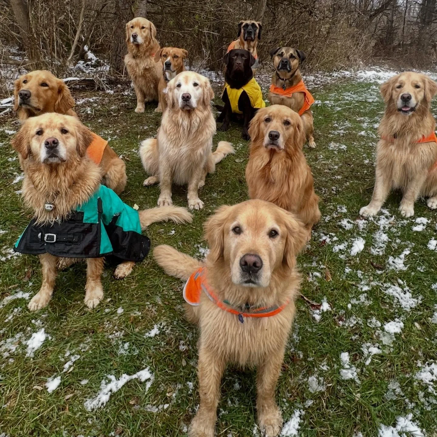 Let the good times roll on!