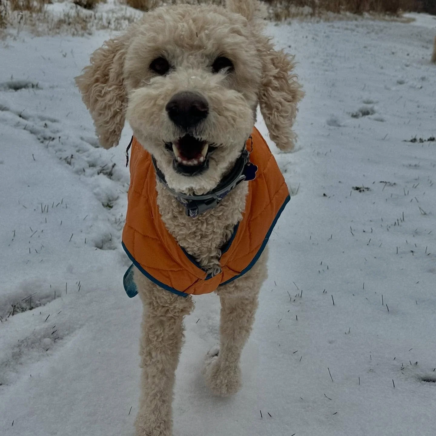 More than a feeling&hellip;