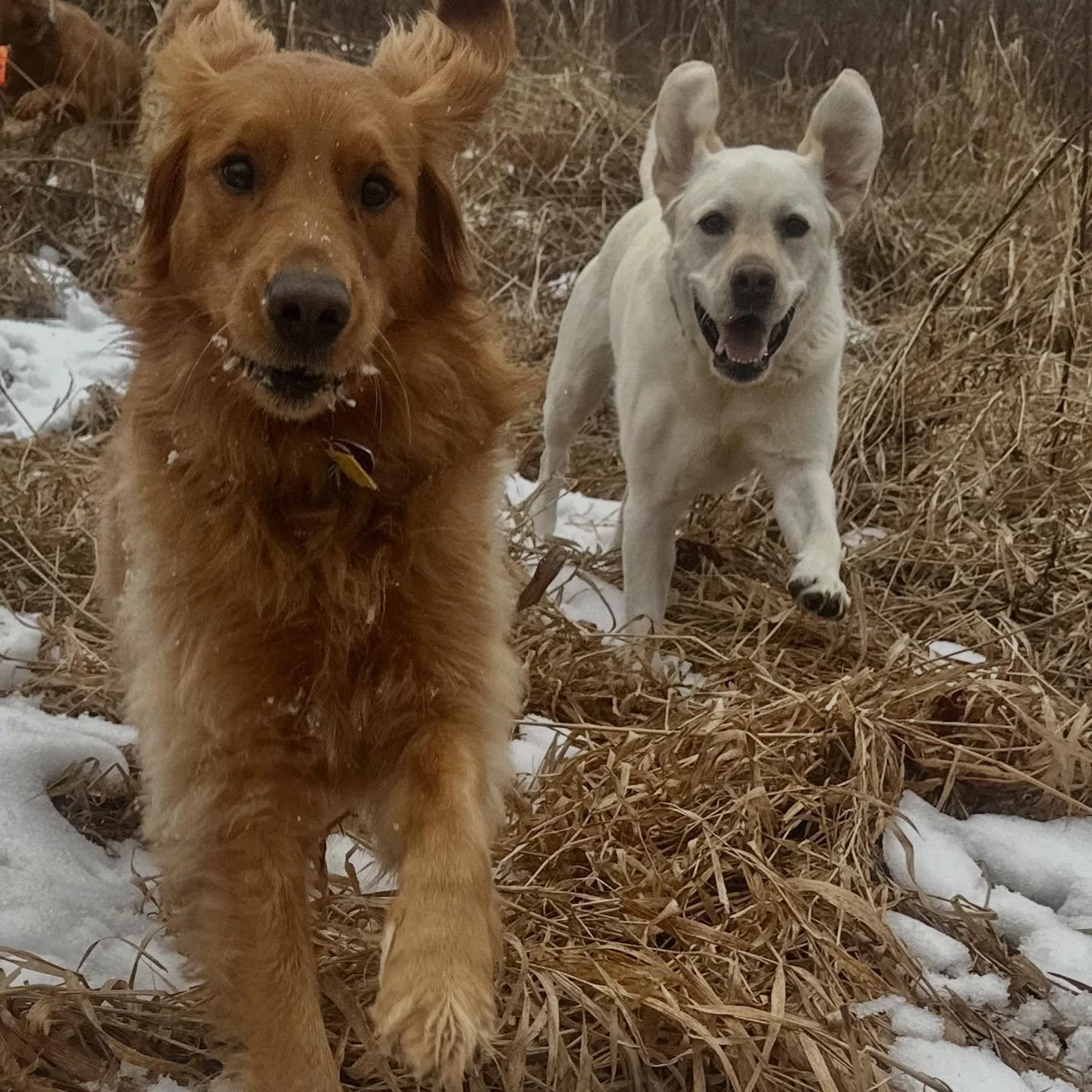 A Friday in November = 🤪