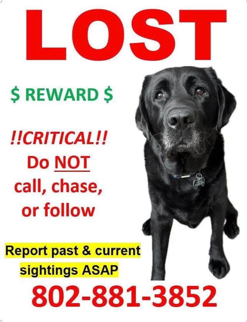 Please share the new information on social media. 
Please print or screen shot the new flyer attached so it&rsquo;s a handy reference. 
Please do NOT actively search for Captain. If you happen to see him crossing the road, on a trail while you&rsquo;