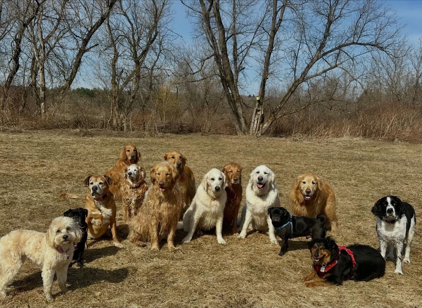 To an outstanding Monday morning with the most delightful creatures! ❤️