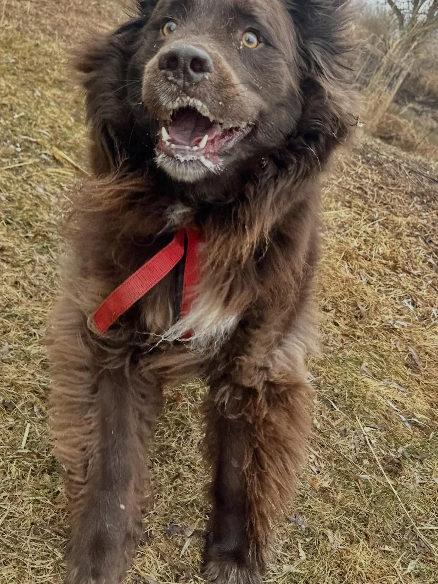 Sleep away campers need their adventures too!! 🤩