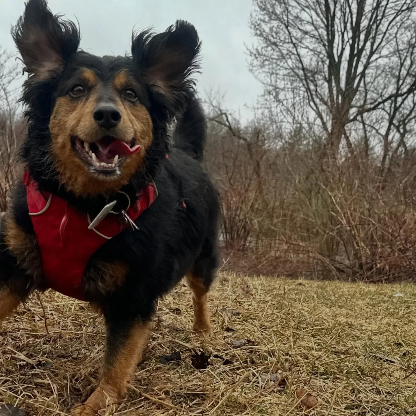 Wednesday morning never made me so happy! *swoon*❤️