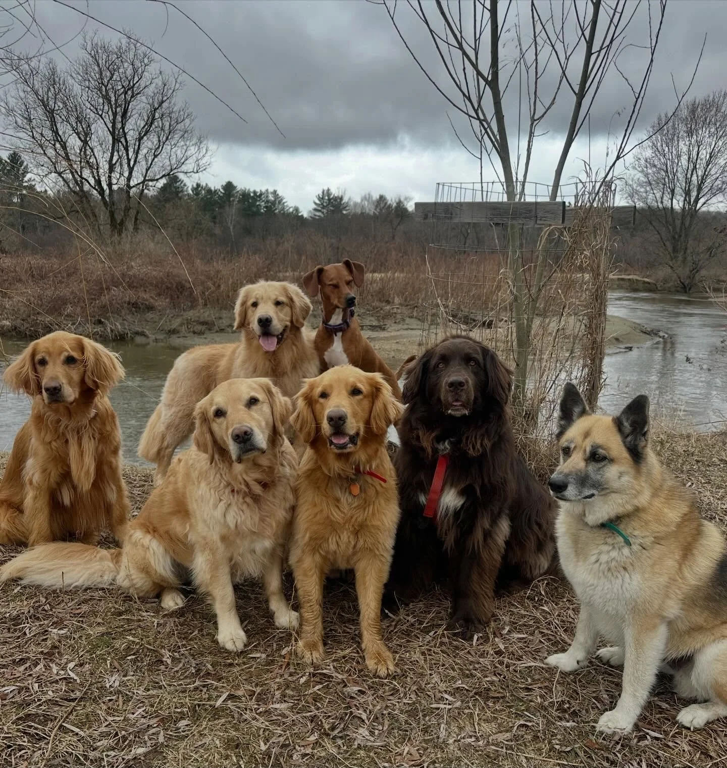 This crew is *tired* tonight. Something about going on a wild goose chase (Lilly knows she started it and the goose won!) &hellip; 🥴