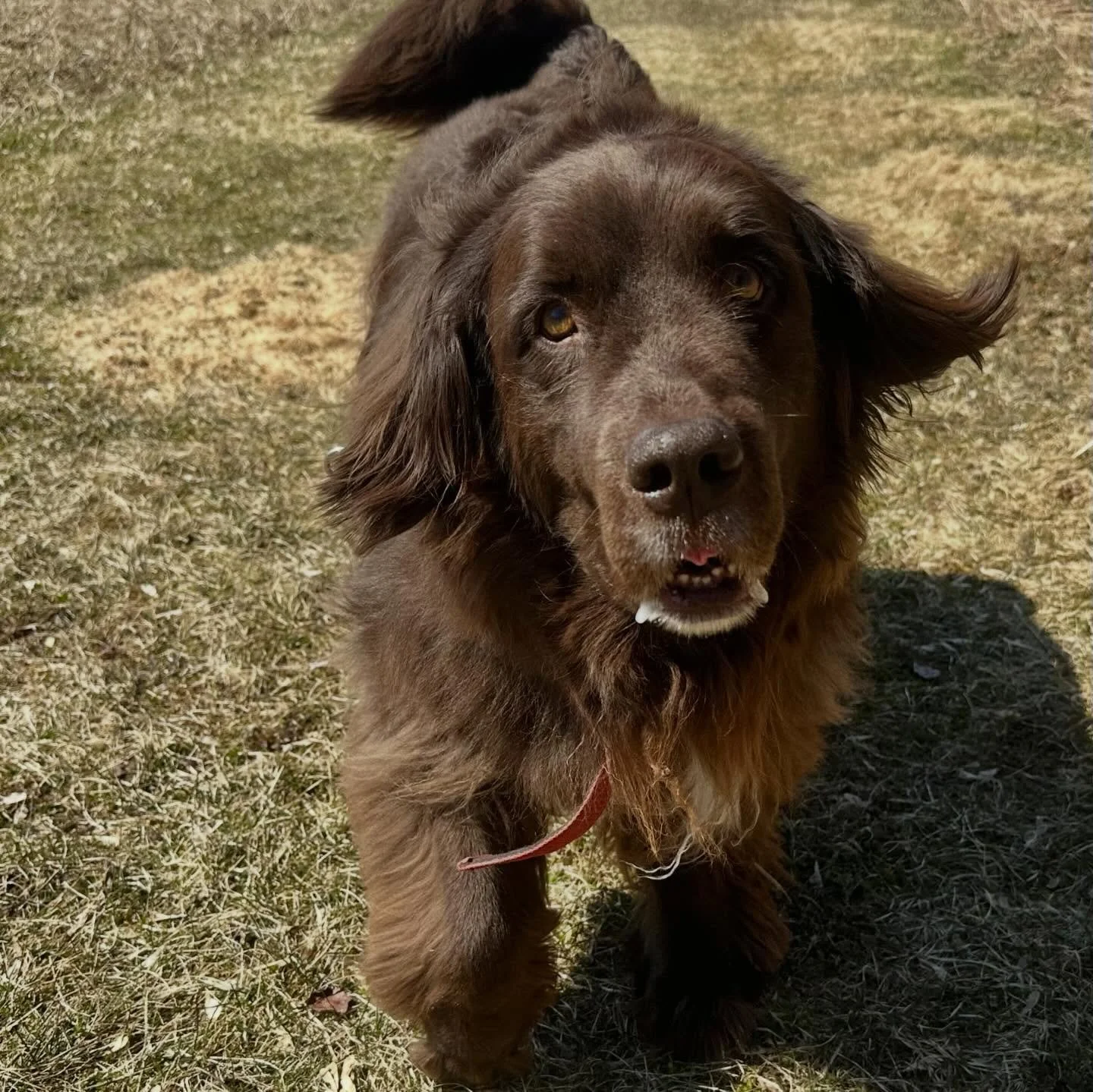 Wednesday continued to be amazing &hellip; 🤩