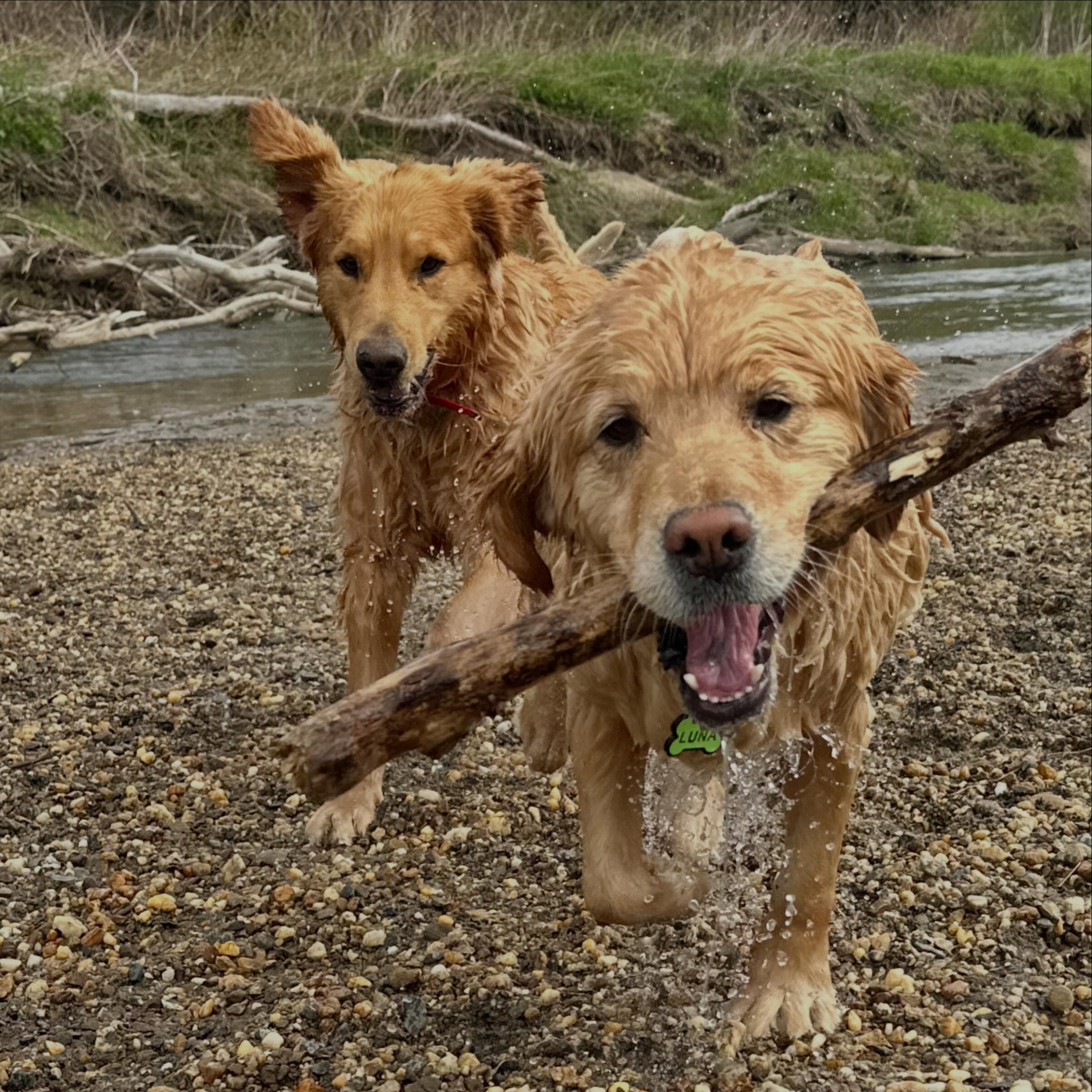 Tuesday shenanigans!