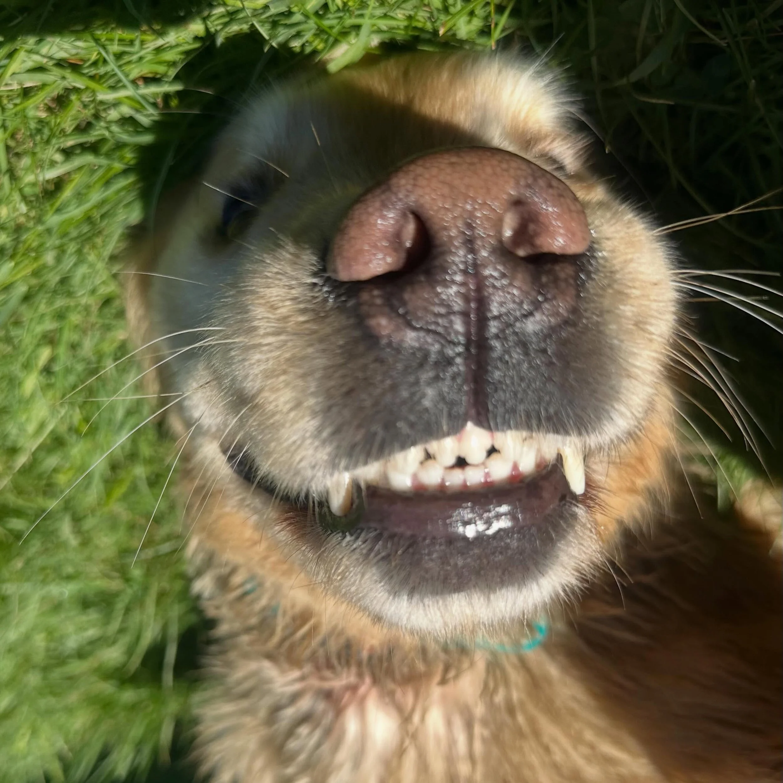 Friday friends!!