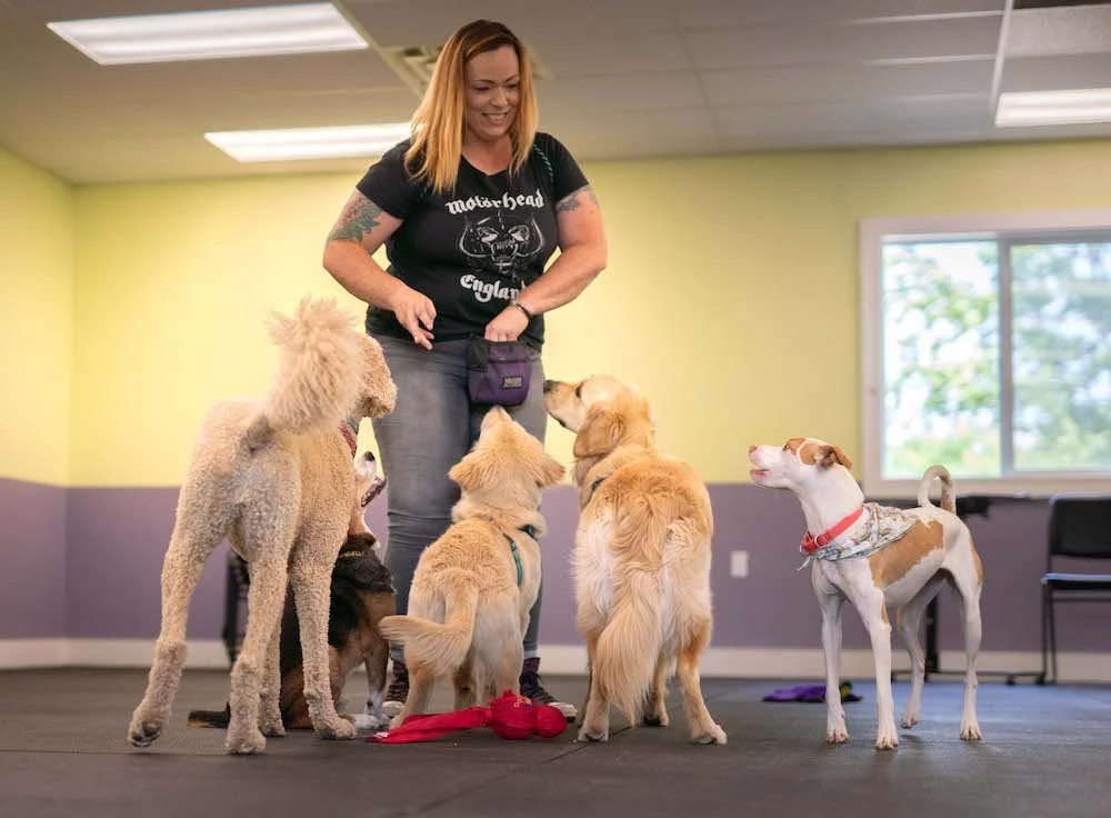 Tammy Egan training dogs