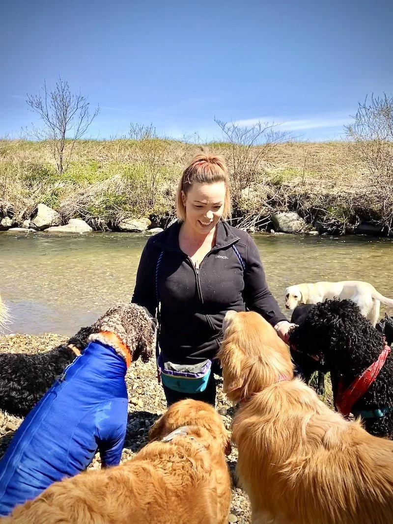 Why Four Pawsitivity