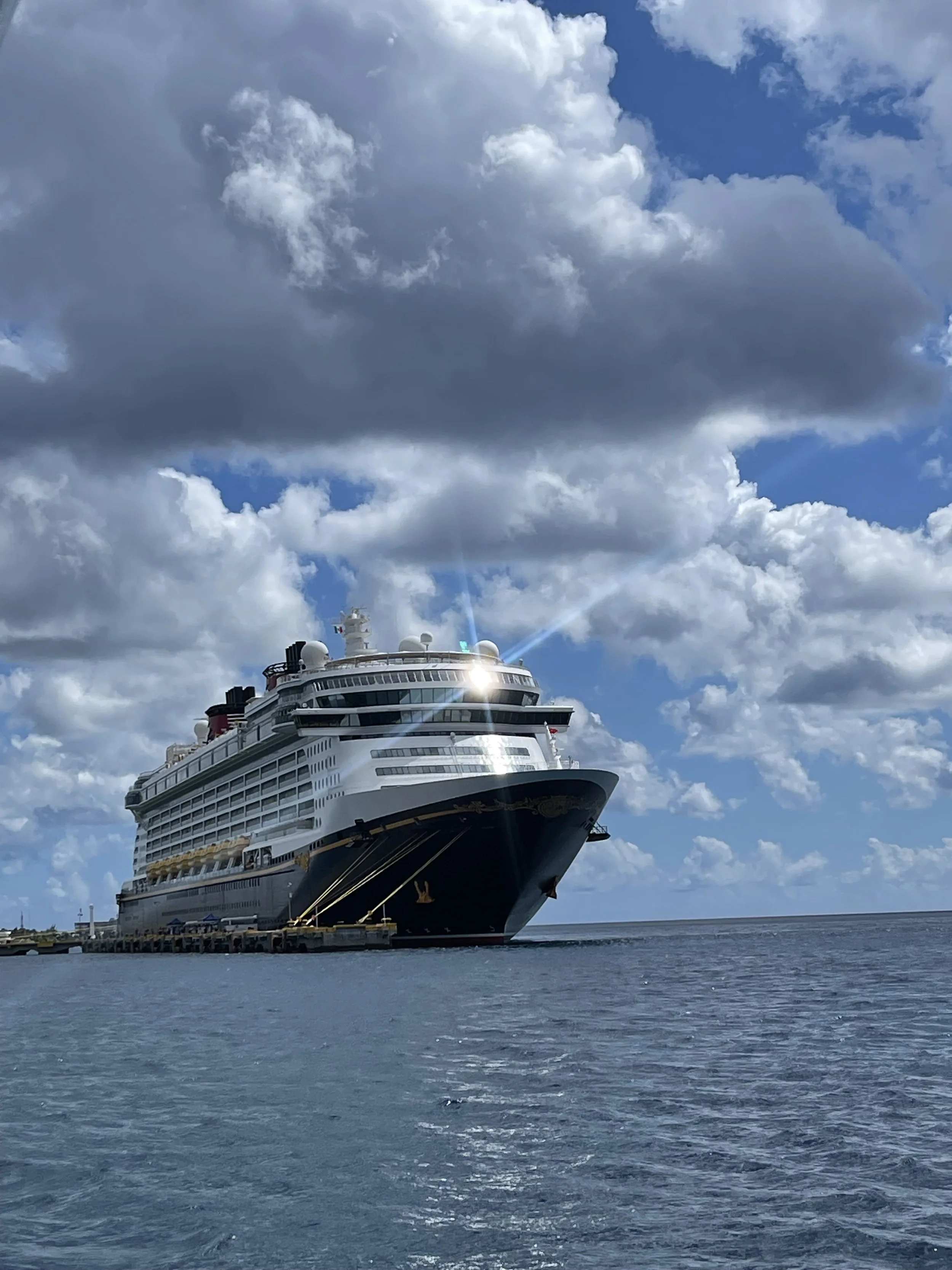 Large cruise ship docked at port with cloudy sky in the background.