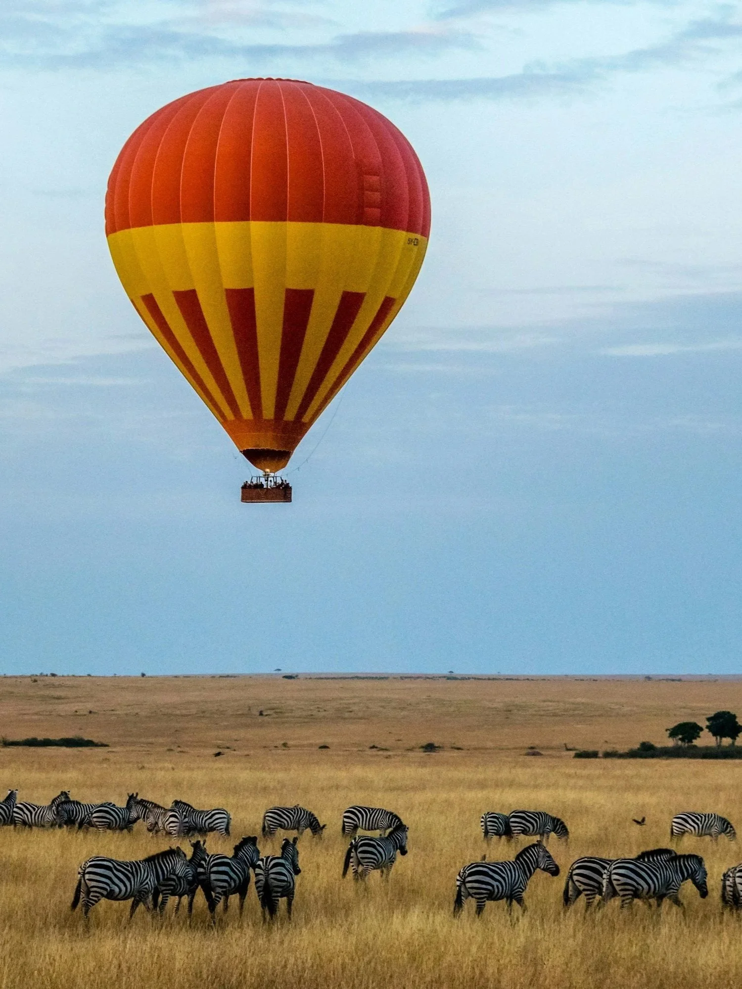 A red and yellow hot air balloon floats above a herd of zebras in a grassy plain.