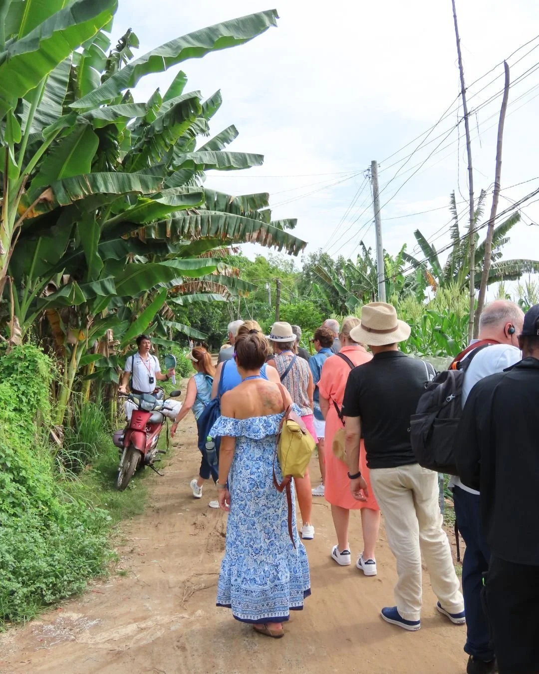 With AmaWaterways, your journey through the Mekong is accompanied by local guides who know their way around. 🌳🚶&zwj;♀️

Connect with me to explore Vietnam to Cambodia through a river cruise. 🛳️ 🌊 #TravelBetter #AmaWaterways #Mekong