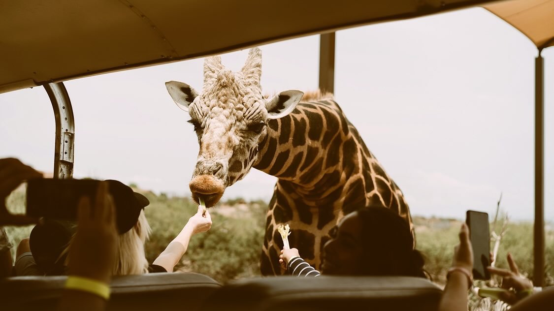 ✨Introducing Roam by Tauck✨

There is big news from Tauck, one of the world&rsquo;s most esteemed land and cruise tour operators. They just launched an entirely new travel brand, Roam by Tauck.
 Here&rsquo;s how Tauck describes the new brand: &ldquo;