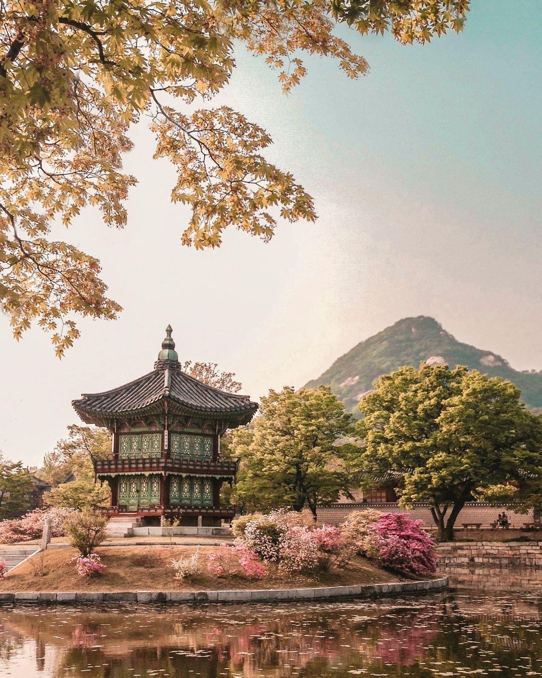 These are the trips we&rsquo;re booking earlier and earlier for clients right now. Not because travel is complicated, but because the most memorable experiences often have limited space.

Japan is at the top of that list. Timing around seasons, secur