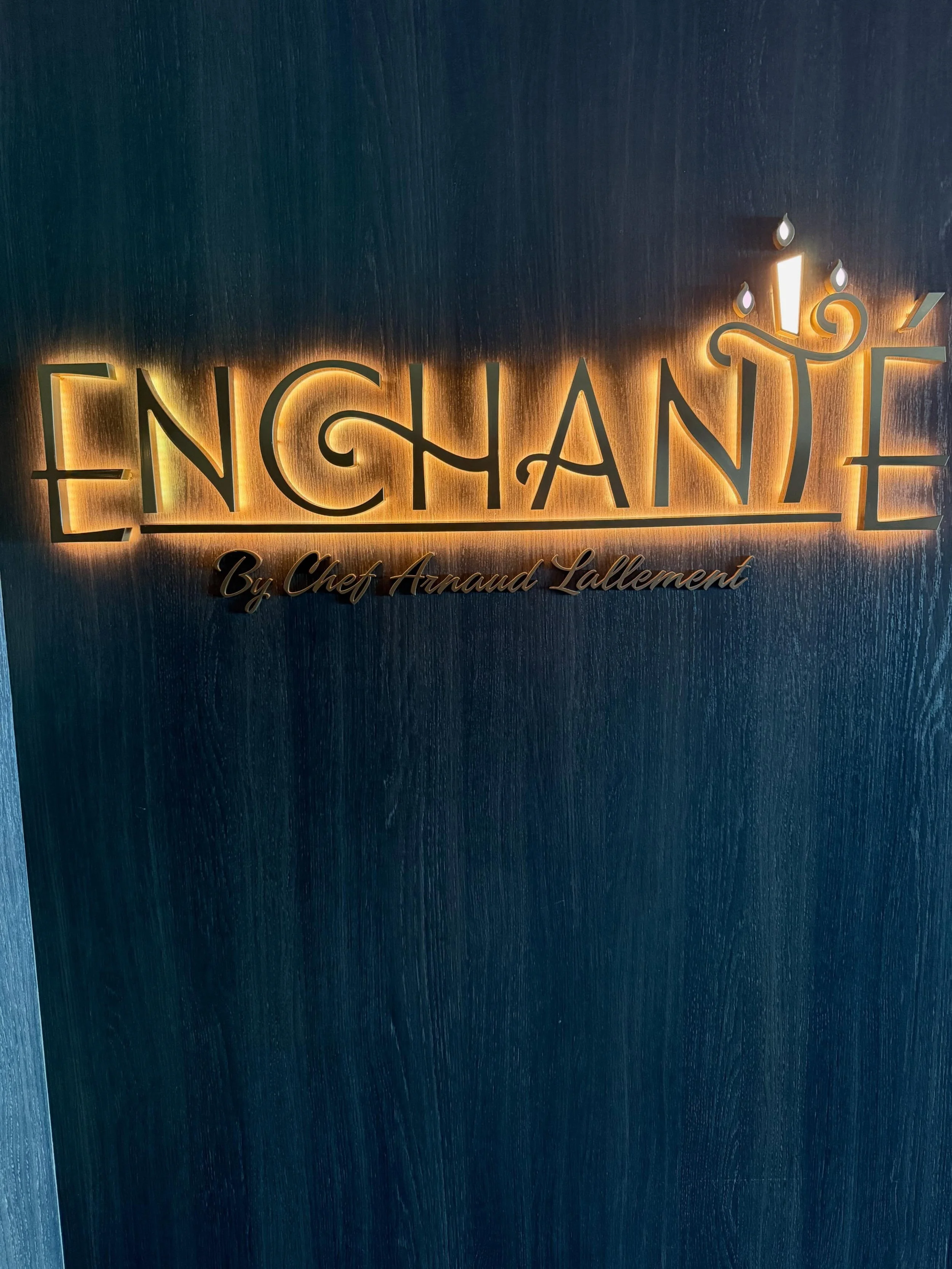 Dinner at Enchant&eacute; onboard the Disney Wish was truly one of the highlights of our sailing. We celebrated a birthday in the private dining room, which made the evening feel even more intimate and unforgettable (see my video at the end). From th