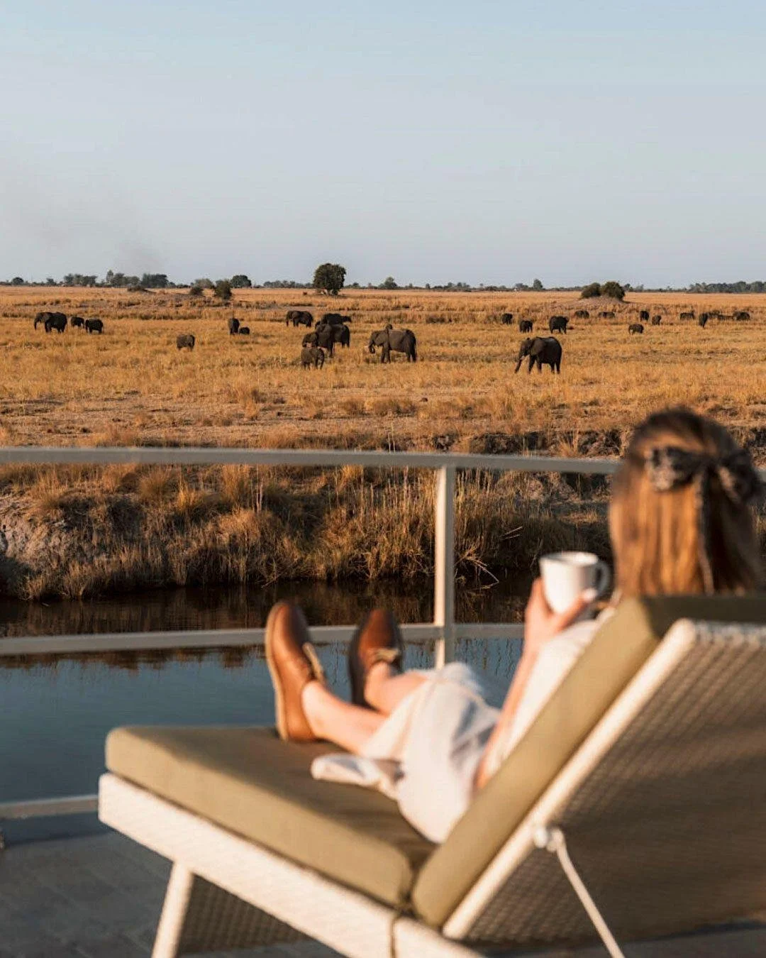 The Chobe River basin has one of the highest concentrations of elephants on Earth. Watching that from the water is an experience of its own.

The Zambezi Queen is a luxury houseboat that cruises the Chobe River on the border of Botswana and Zimbabwe.