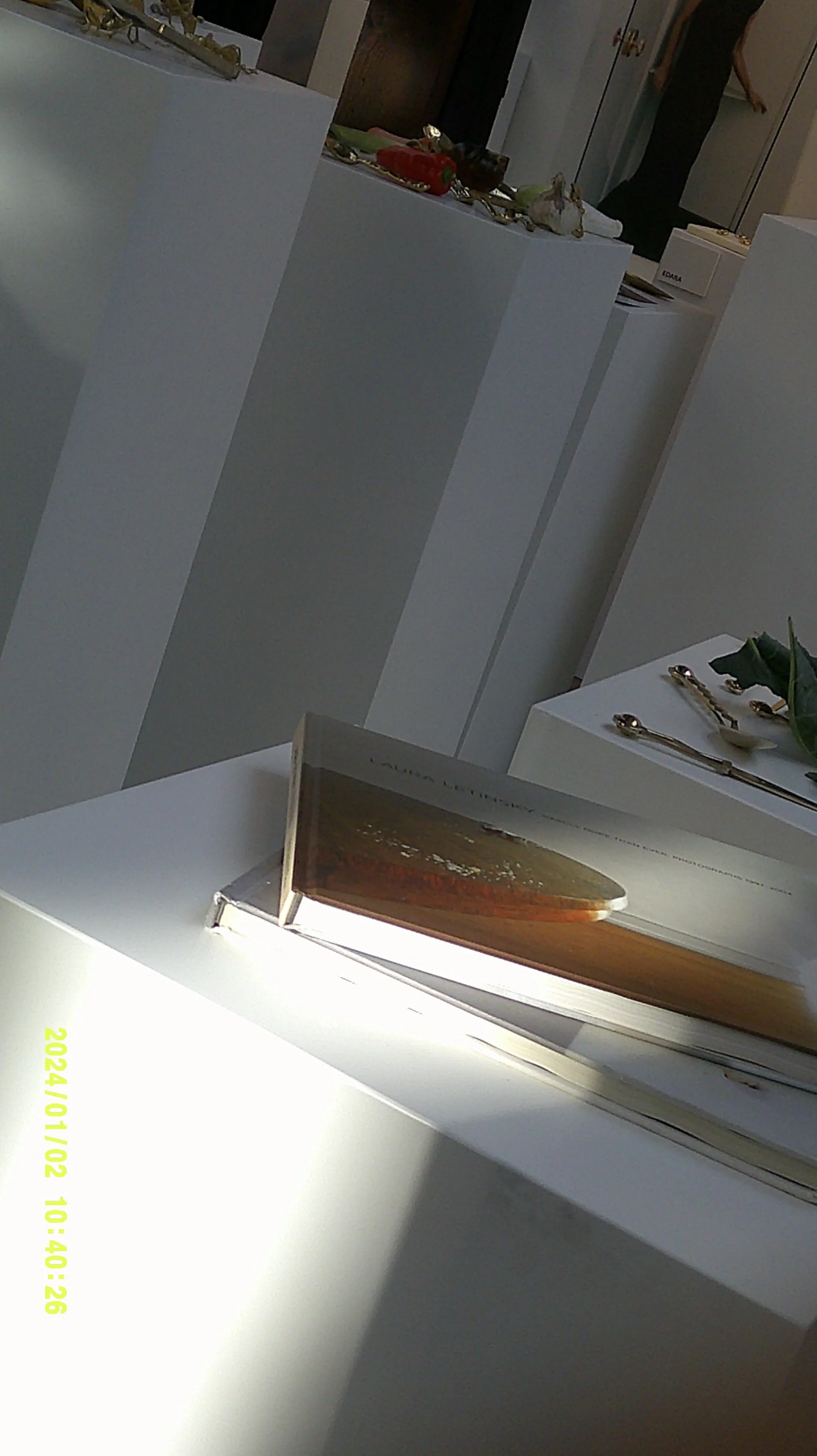 DSCF0097.jpg