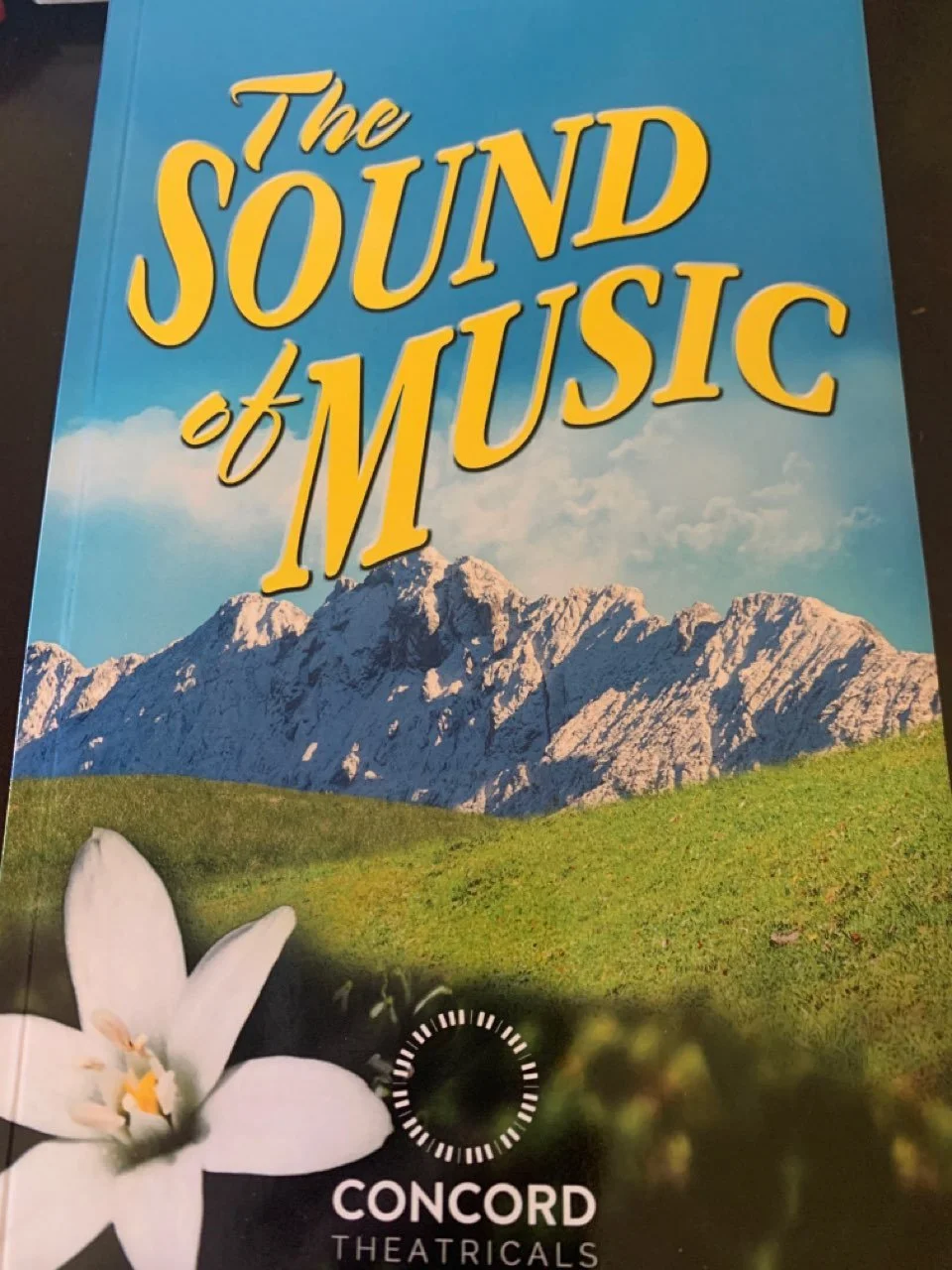 The Sound of Music-All photos-29290383383.jpg