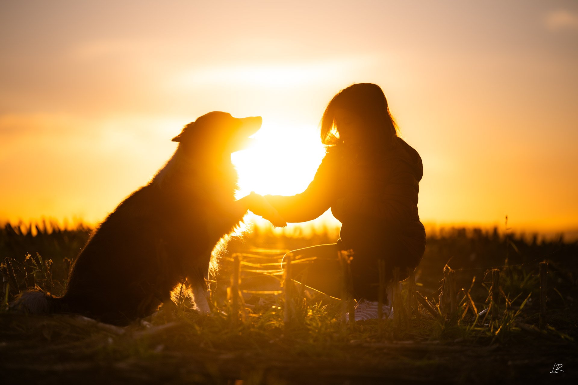 Animaux-012.jpg