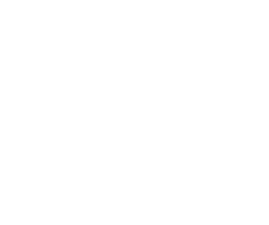 Black and white stylized illustration of a lion's head in profile.