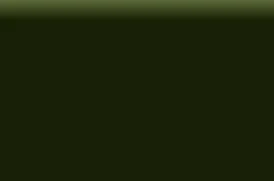 PineTree.jpg