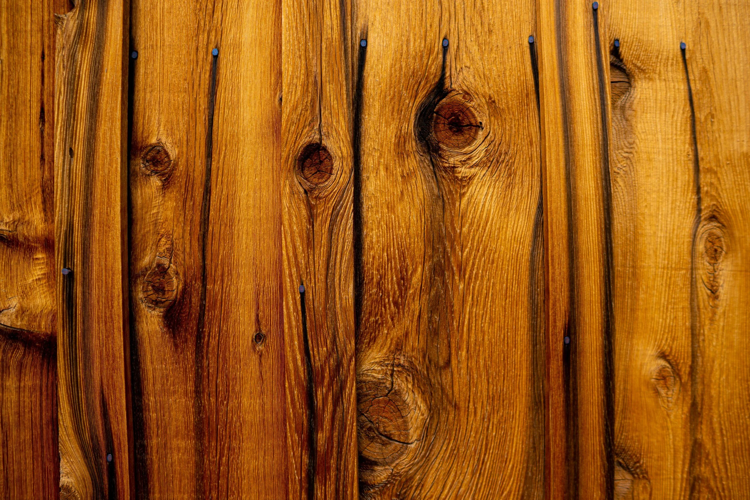 What are the Best Sustainable Building Materials for Eco-Friendly Homes?