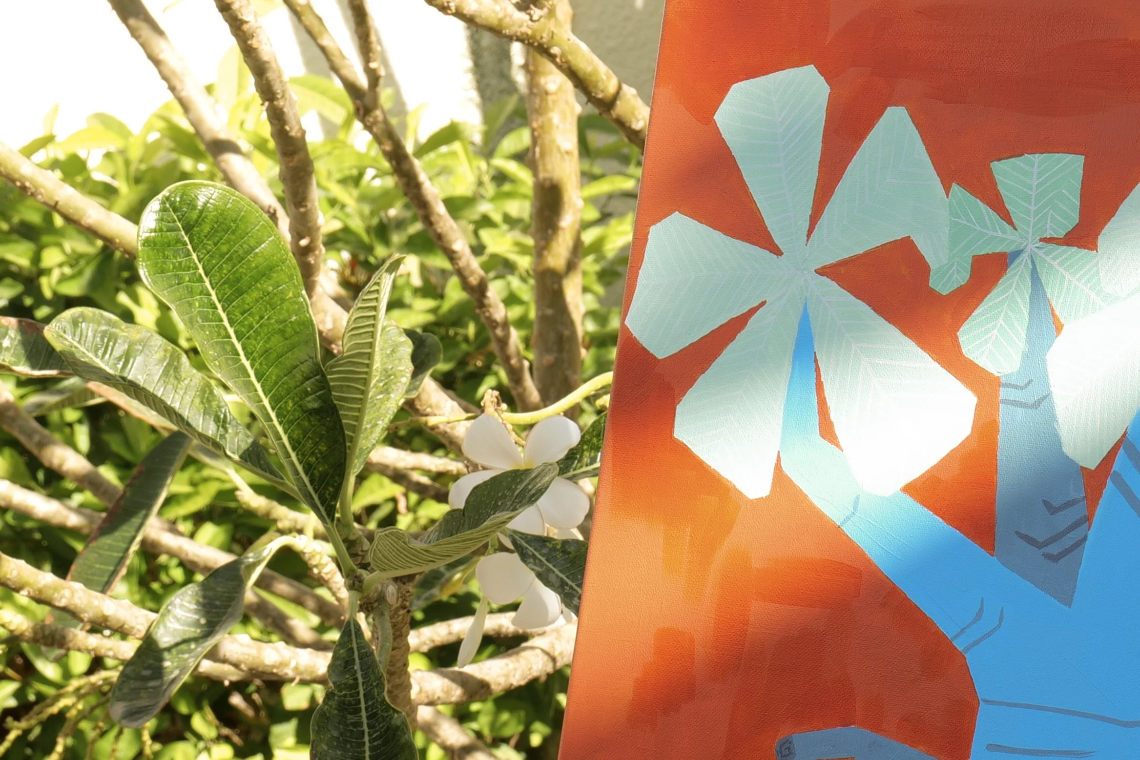 Desert Rose 50_70-14.jpg