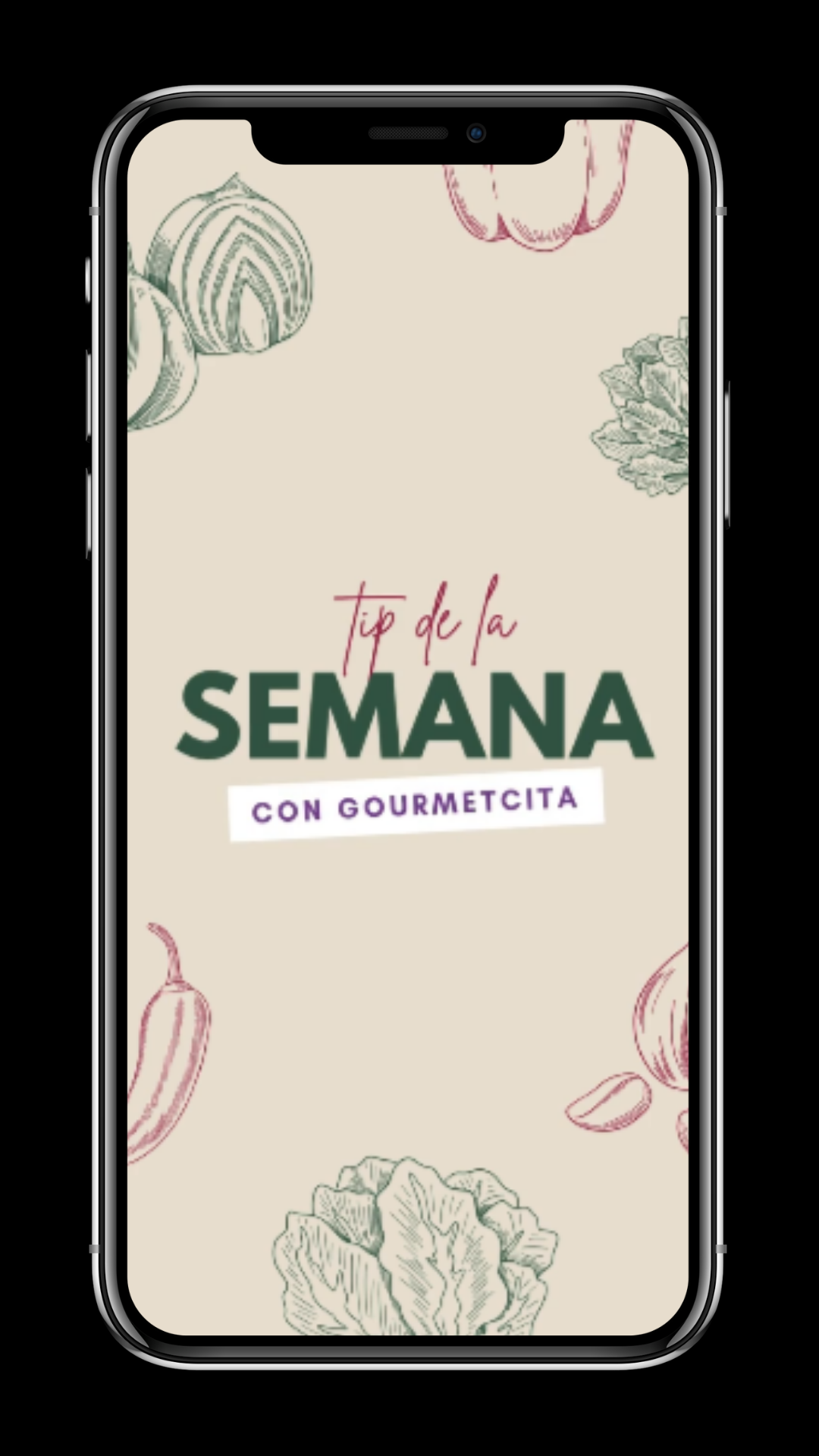 RECURSOS - Portafolio - Brand R Studio.  (7).png