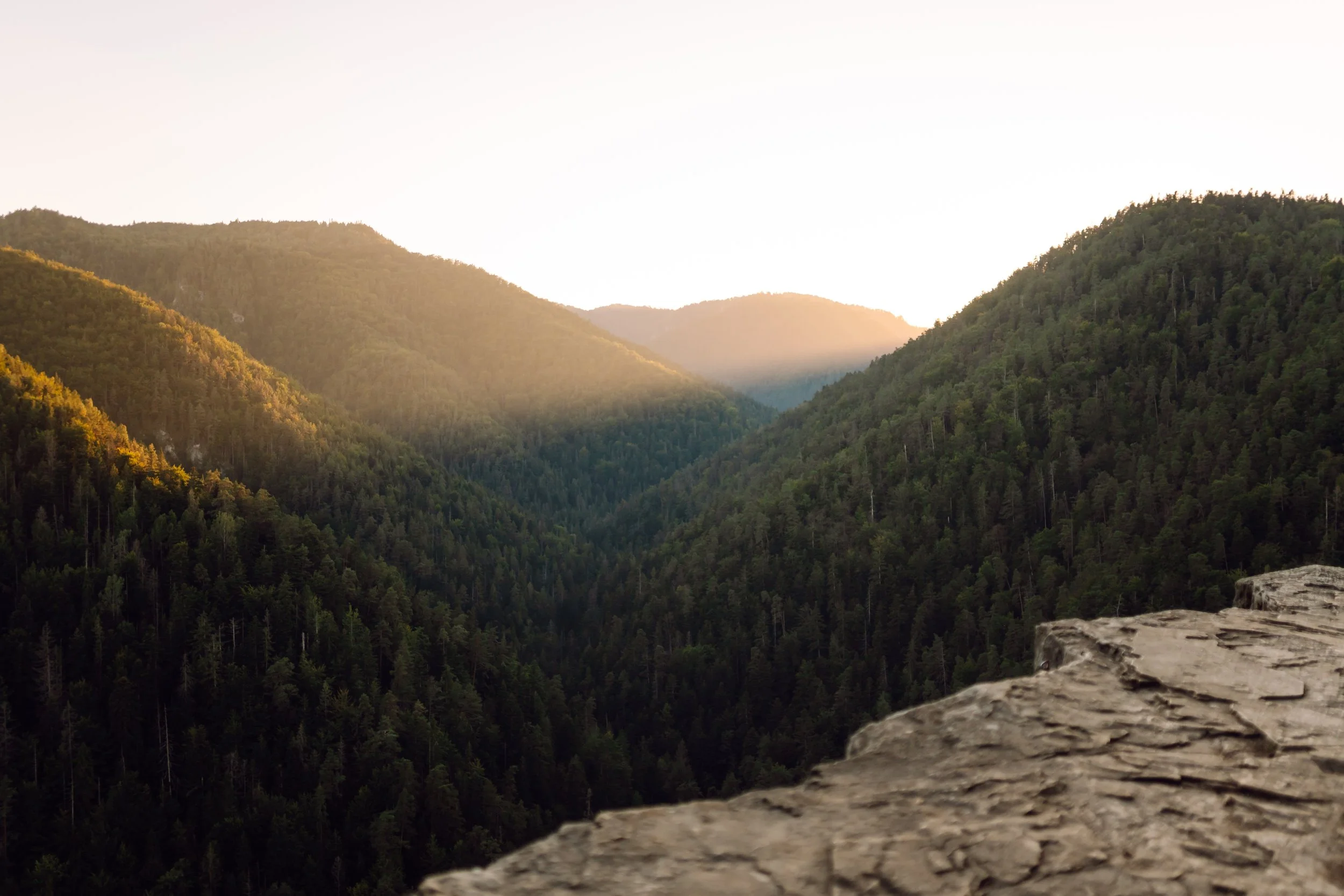 Paysage de montagnes couvertes de forêt avec un coucher de soleil au loin et une roche en premier plan.