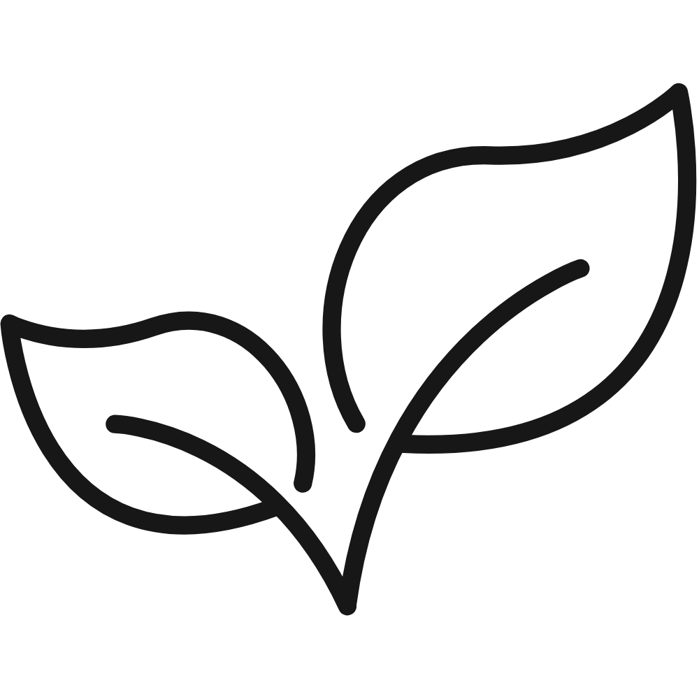 Illustration simple de deux feuilles