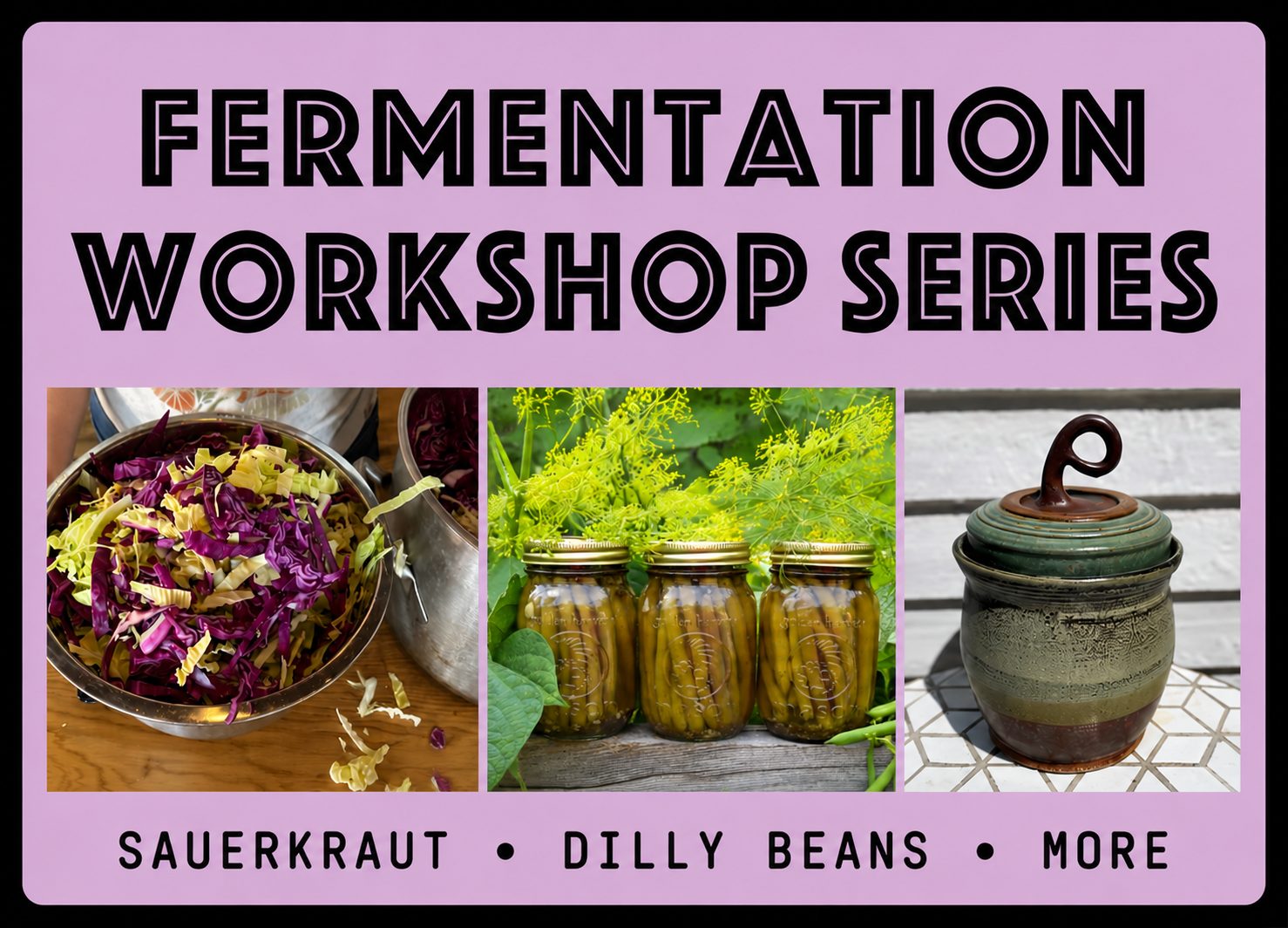 Fermentation Workshop